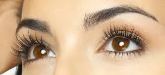 eyebrows   lashes.jpg