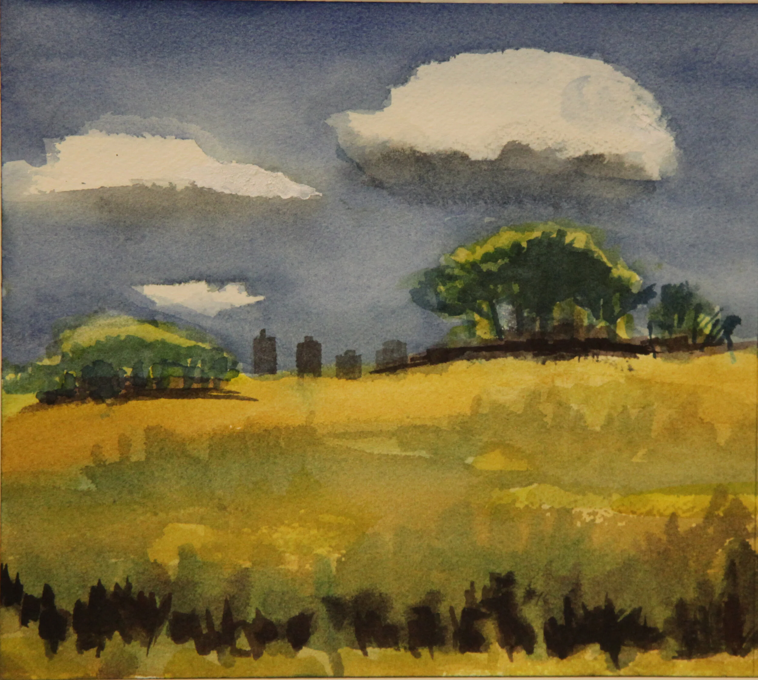 The Interaction of Watercolor - Peggy Roalf