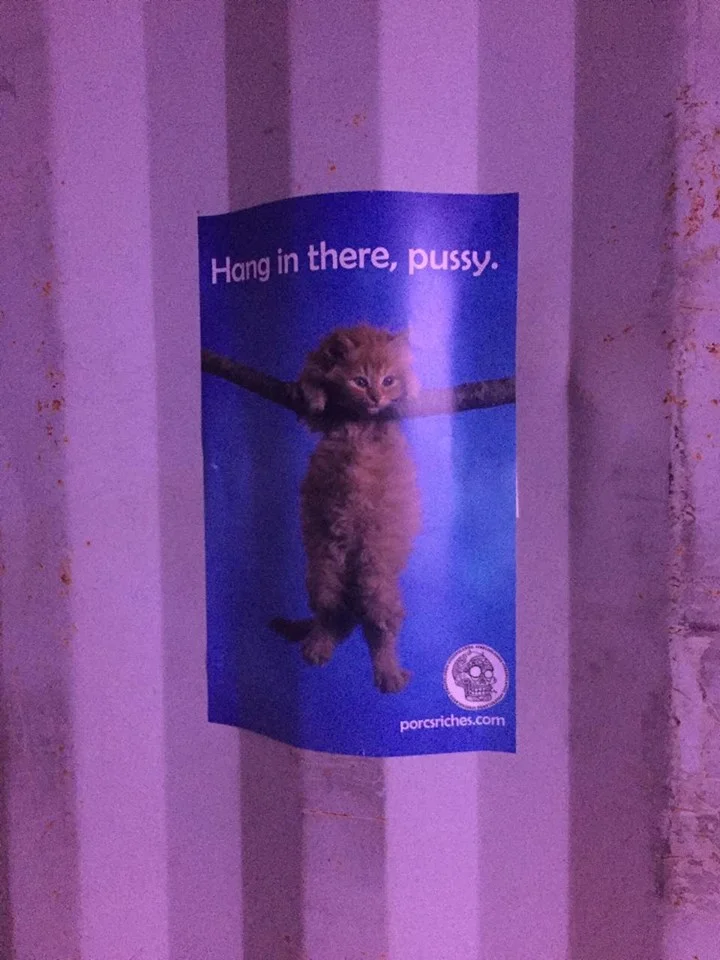 pussy2.jpg