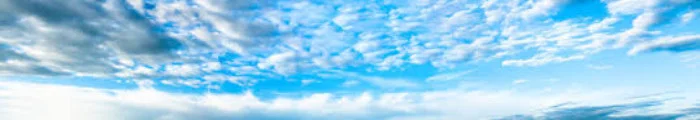 6e12ee65-6305-4a9a-8a2c-4e1d4d8eb4fd.jpg