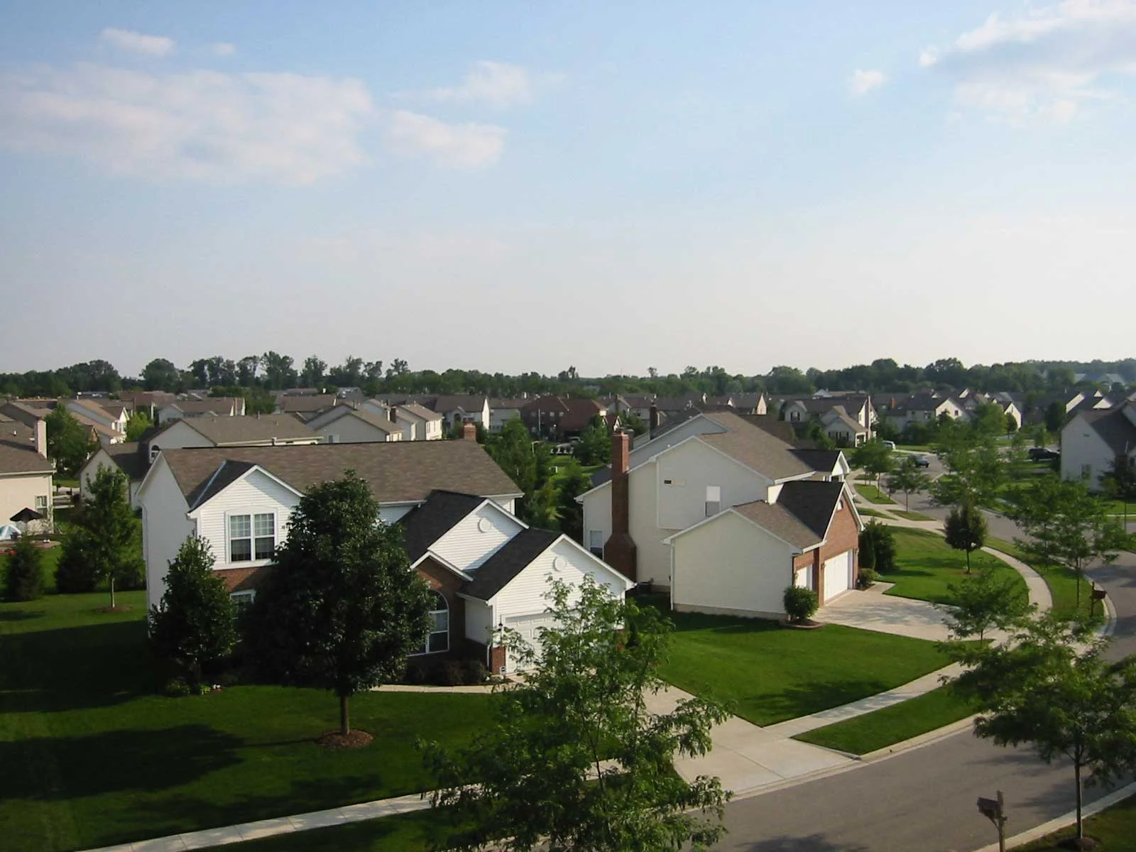 Neighborhood roofs.jpg