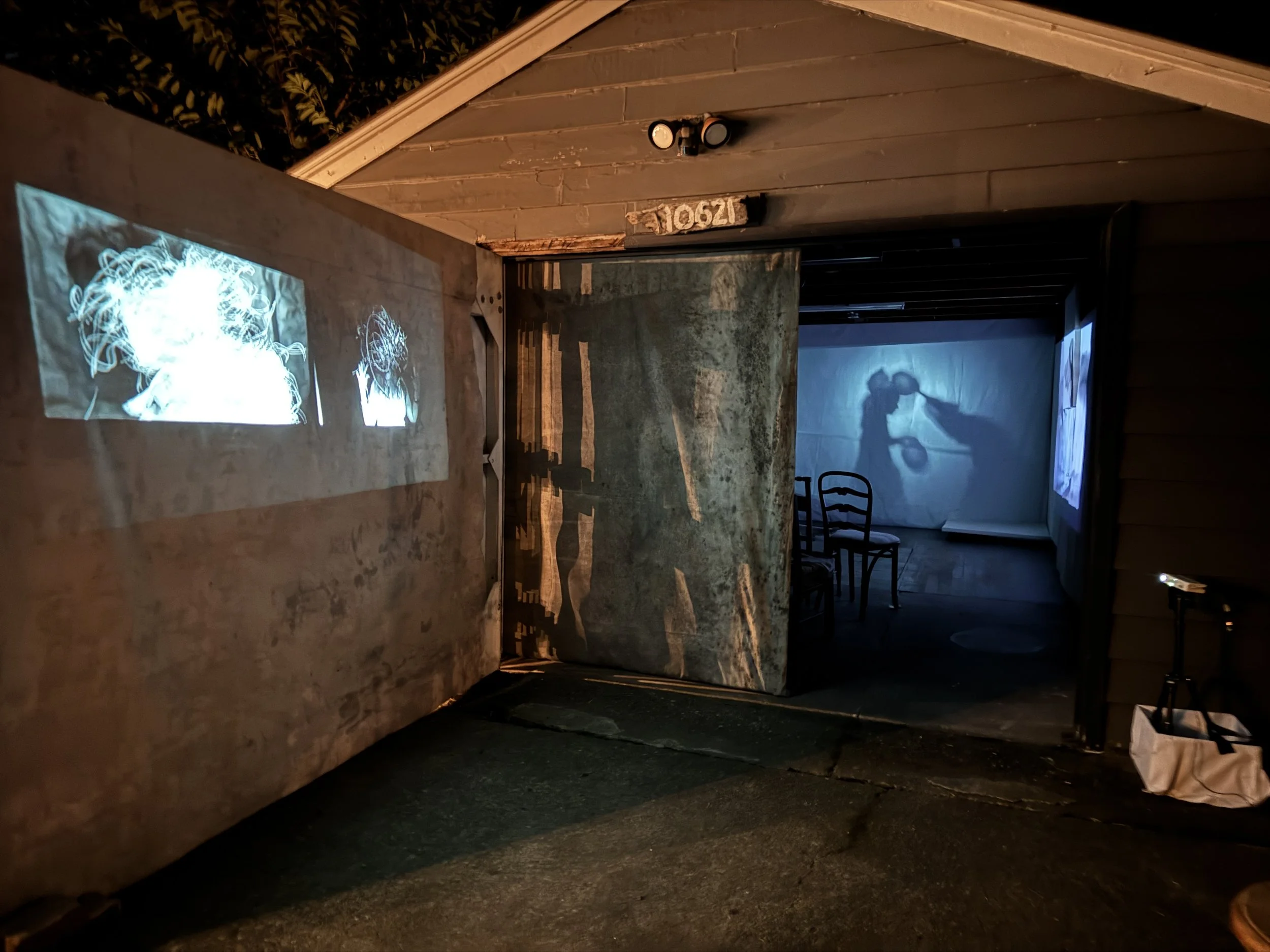 Wish wood in stereo-13.JPG