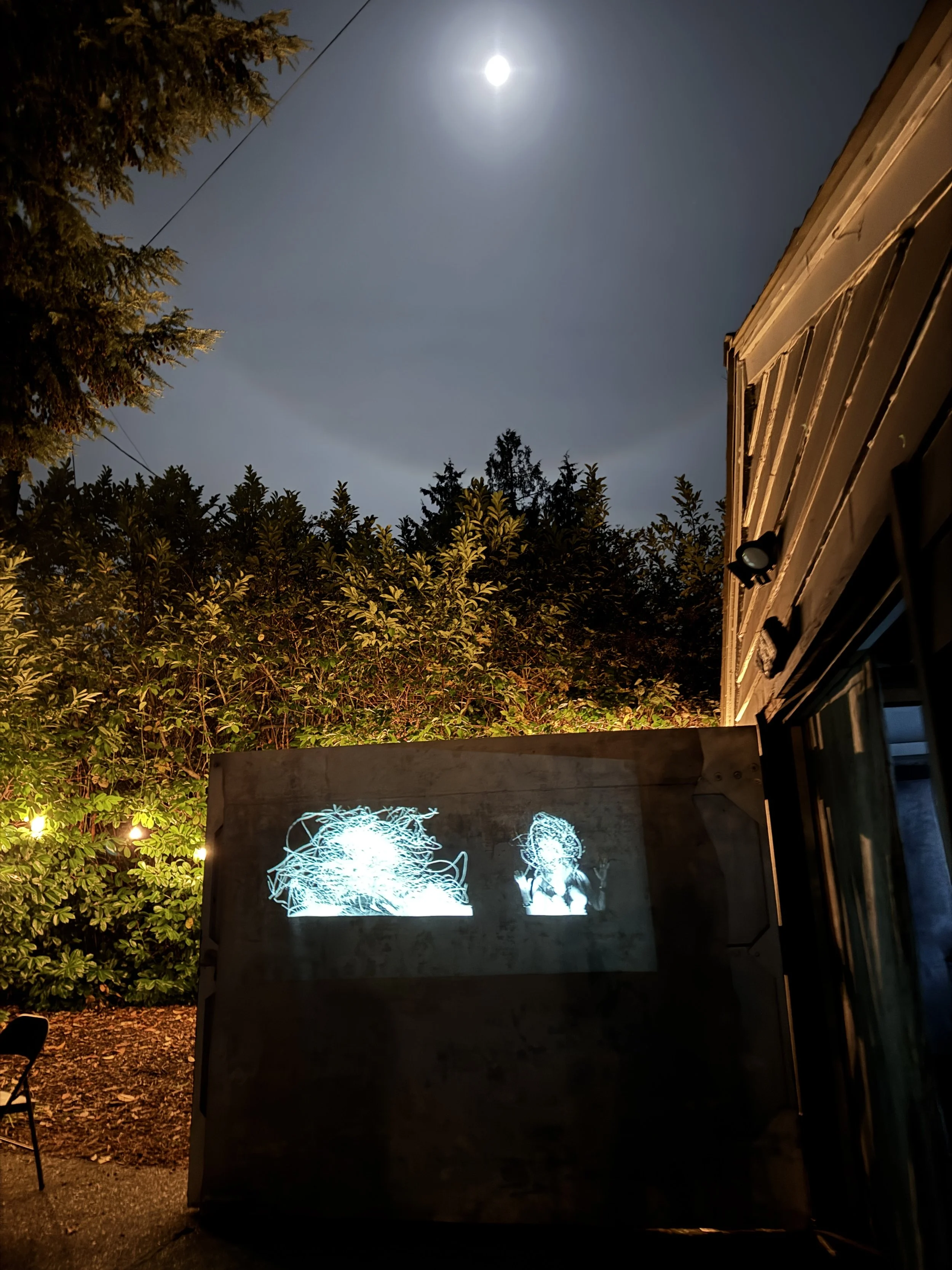 Wish wood in stereo-15 2.JPG