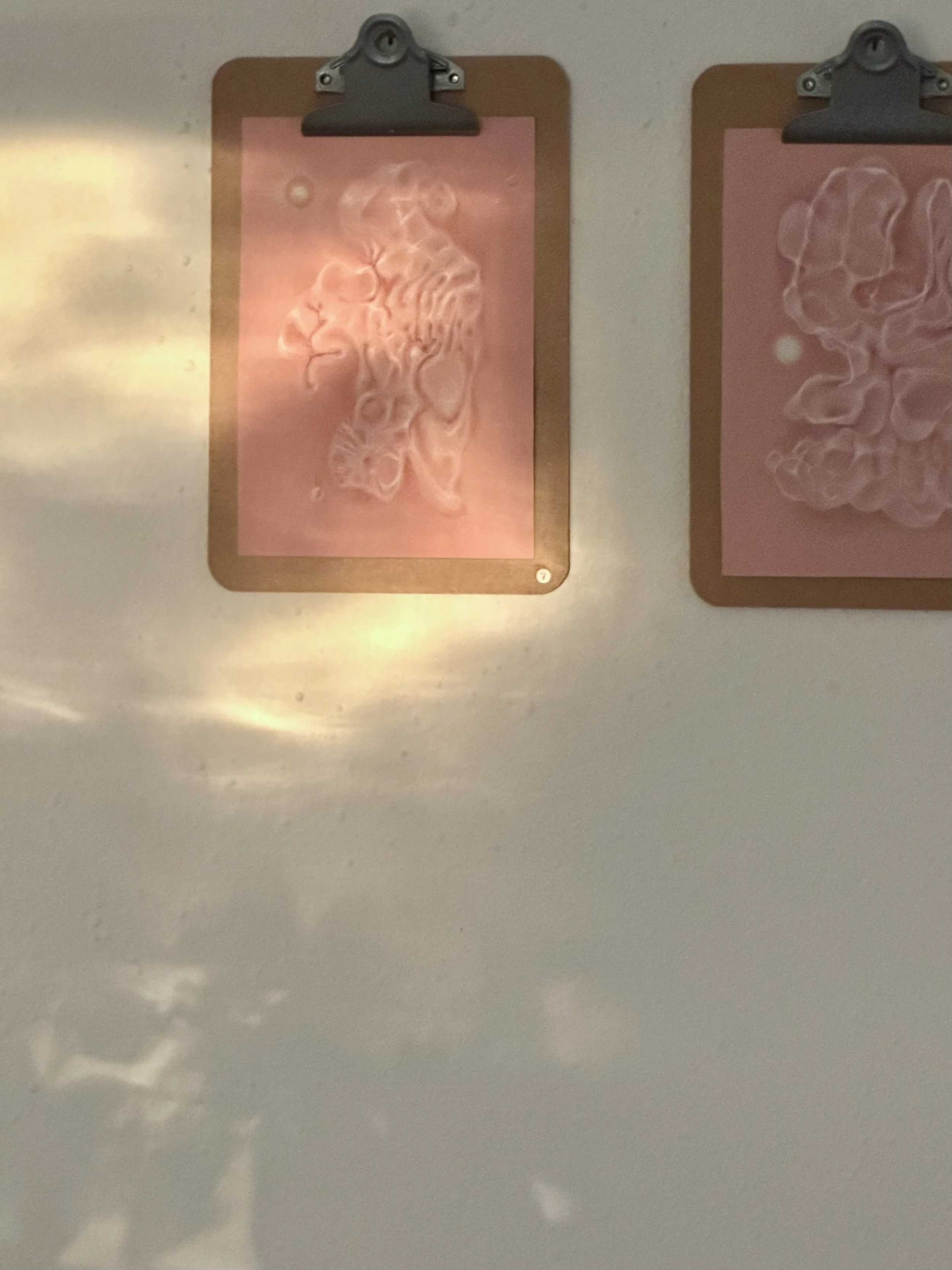 IMG_7715.jpeg