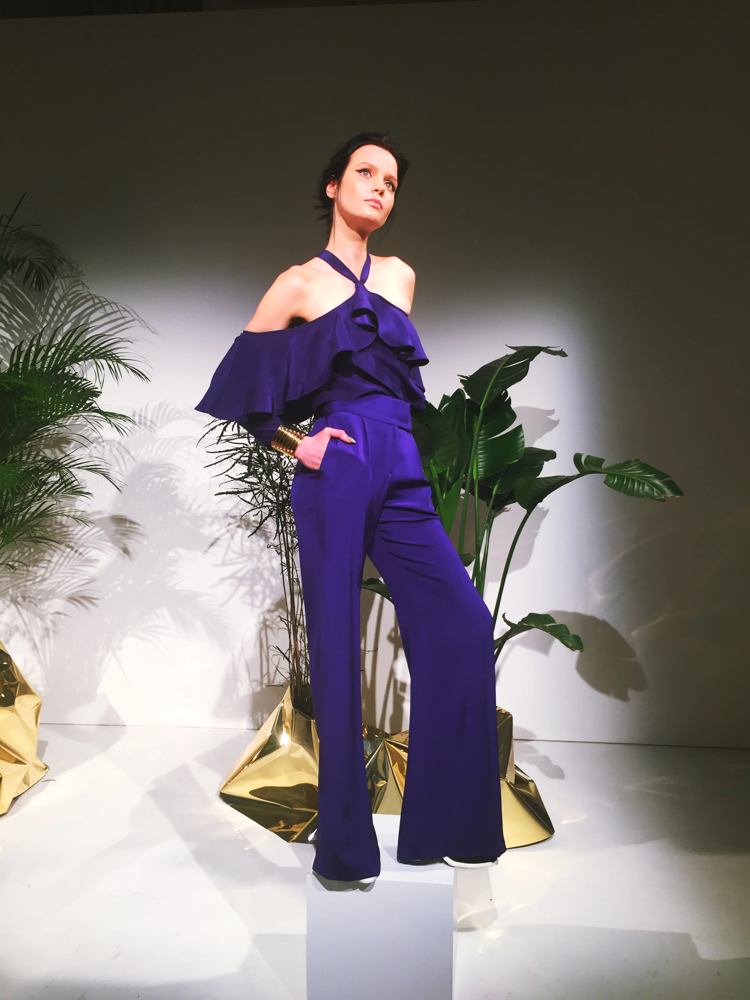 Jay Godfrey Fall/Winter 2016