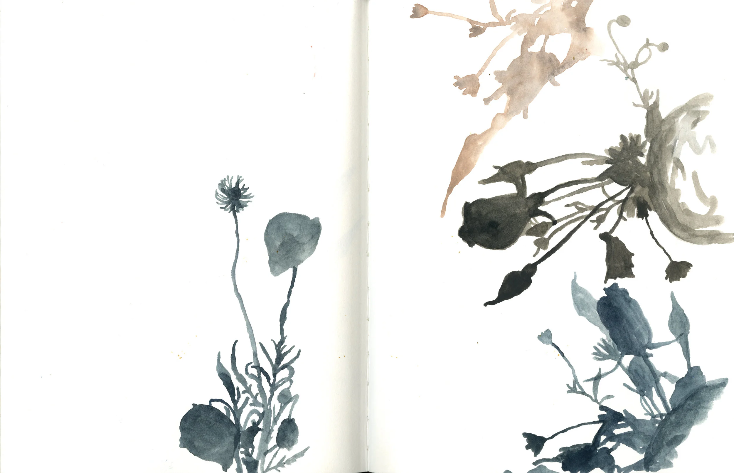 page3.jpg