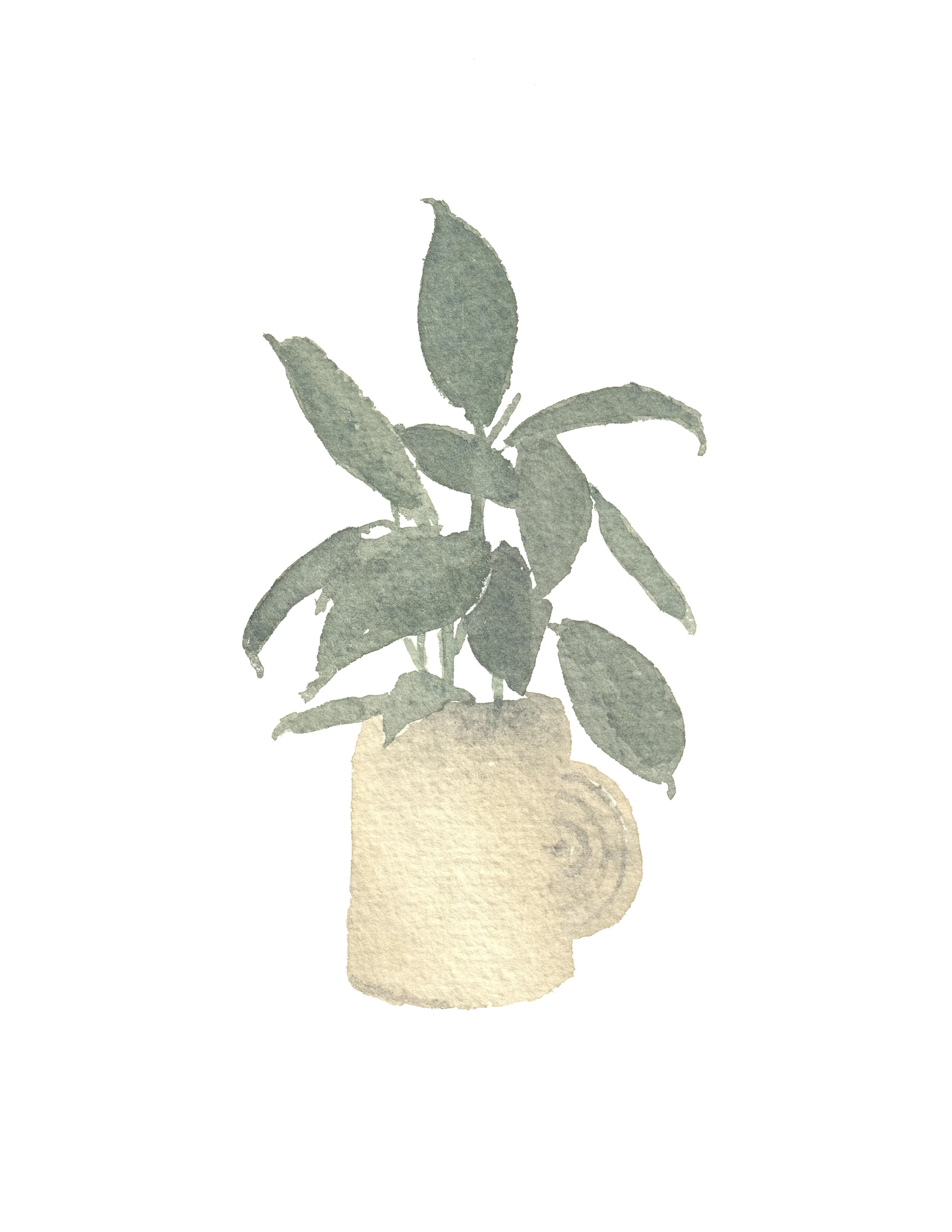 greenplant.jpg