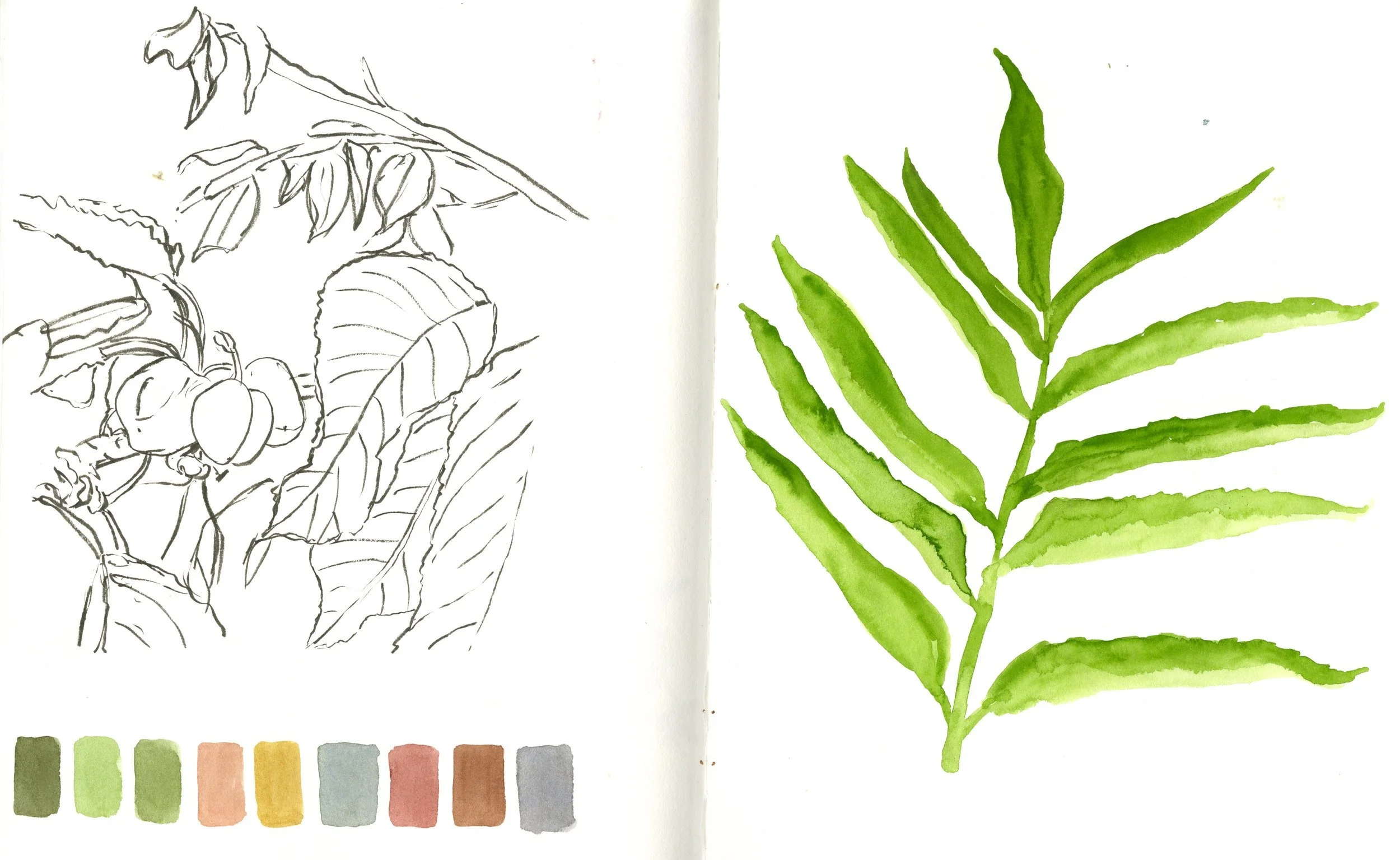 Lacoste, France Sketchbook