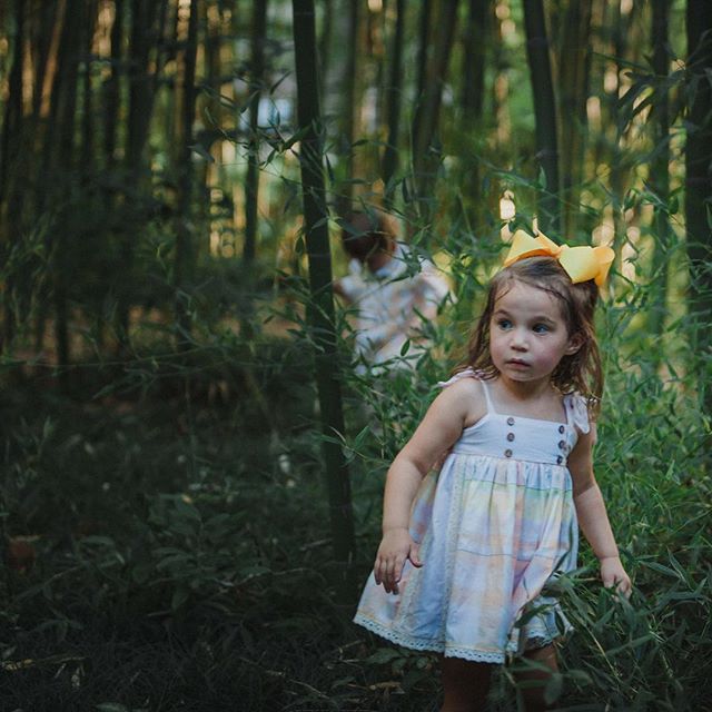 this is one fearless, tree climbing, branch swinging, little lady. love getting to photograph this sweet family 💚