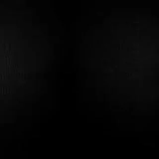 Black. Lives. Matter 🖤