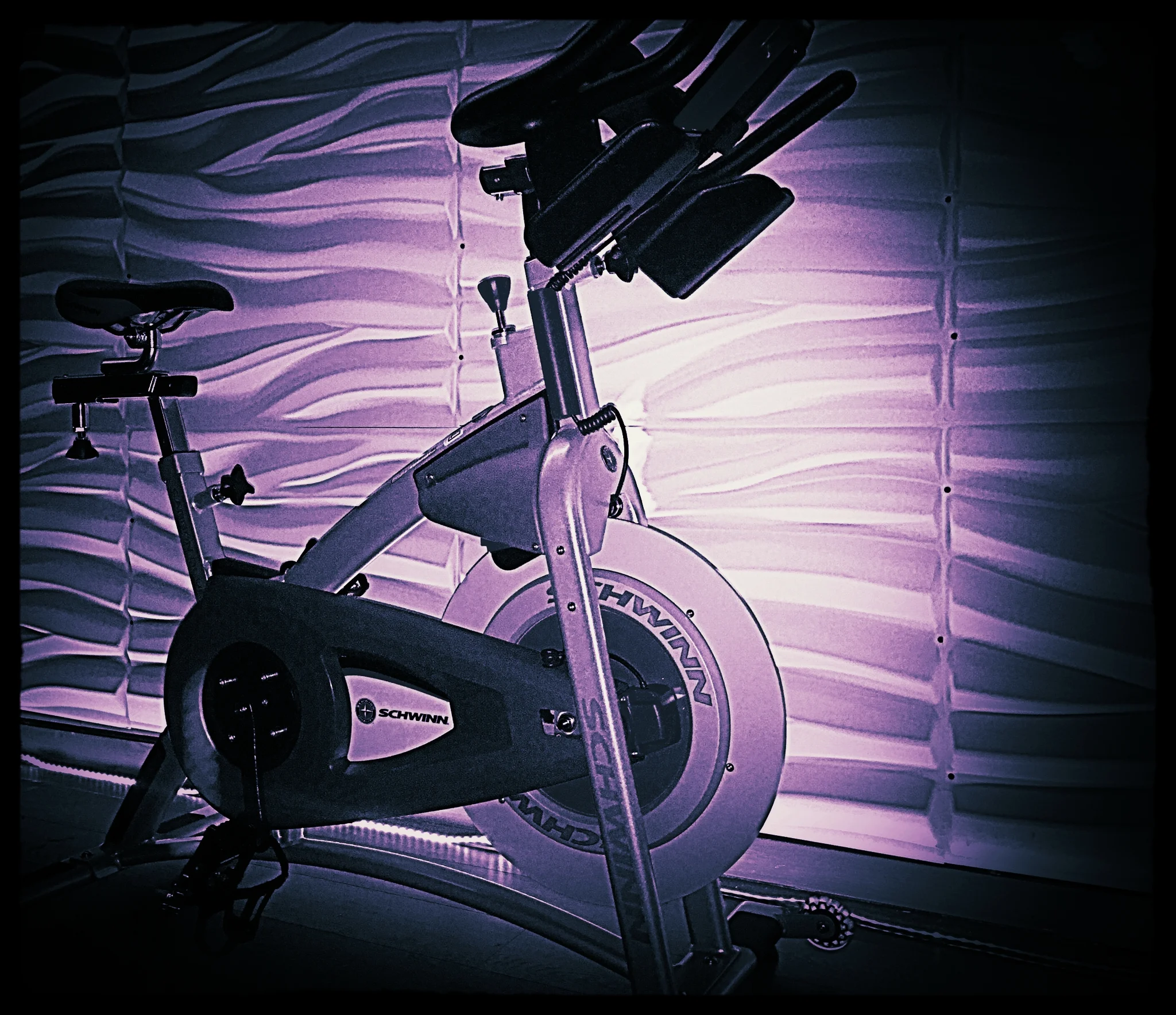 schwinn studio bike