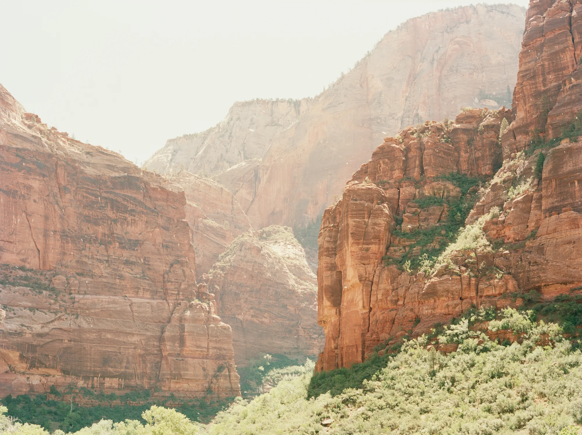 Zion National Park, UT