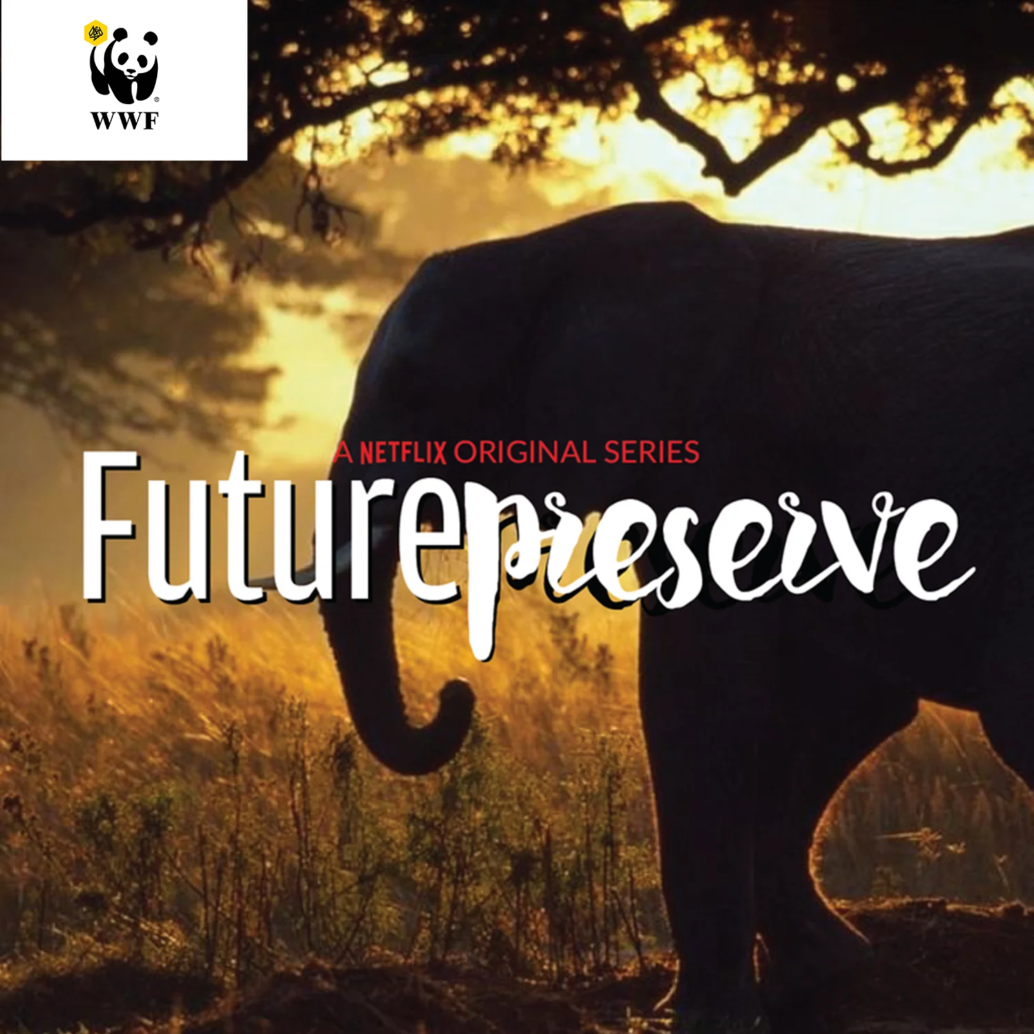 futurepreserve.jpg