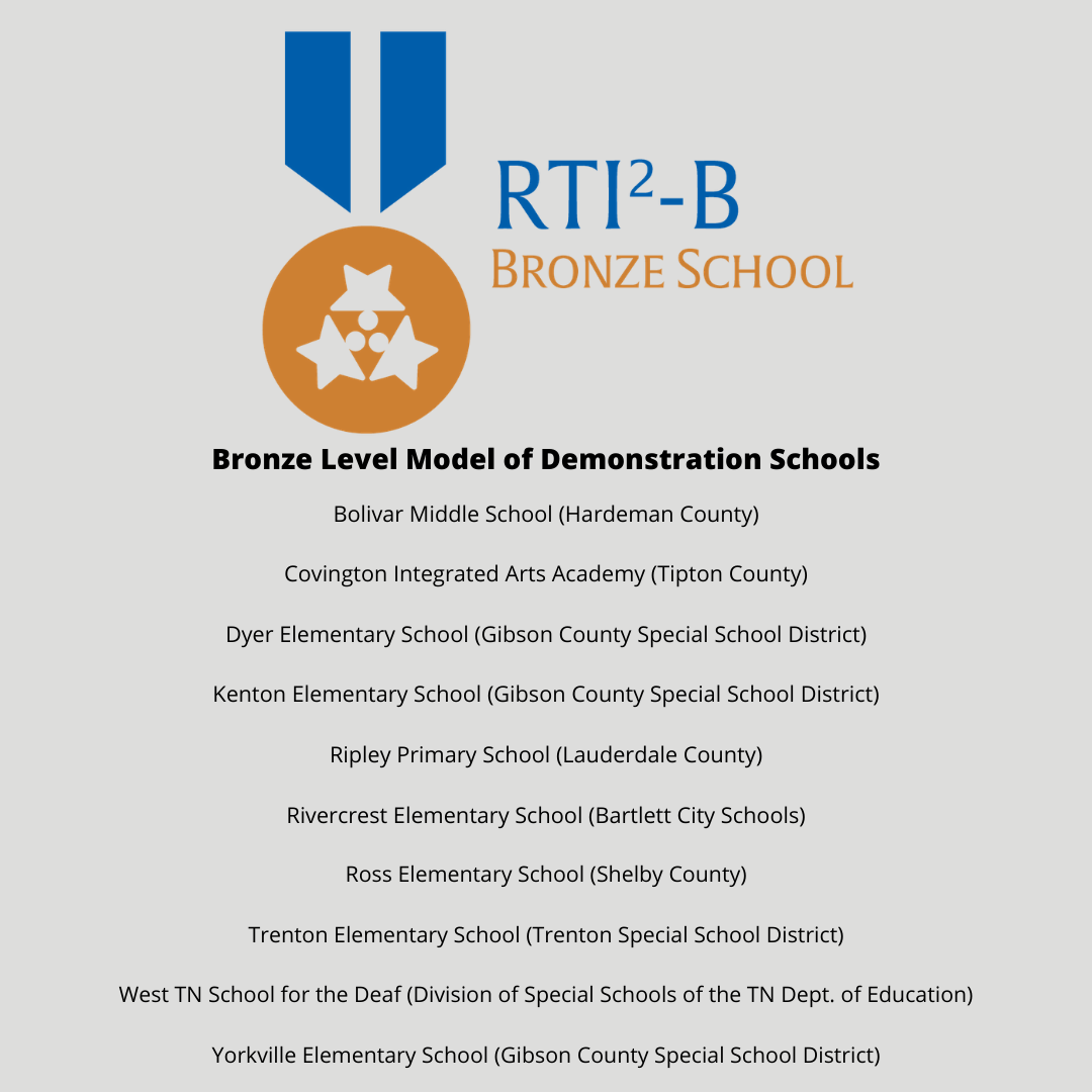 This graphic depicts our RTI2-B Bronze Models of Demonstration.