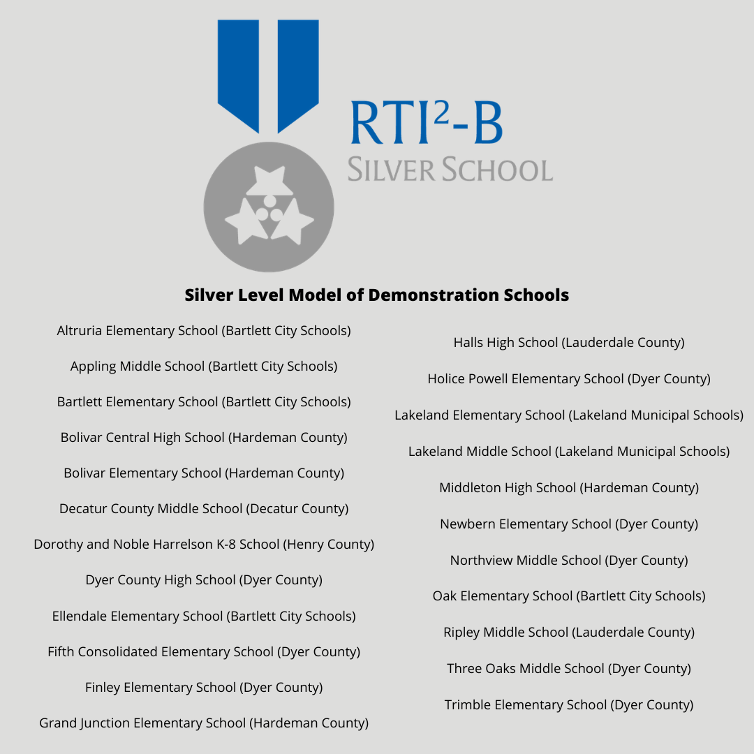 This graphic depicts our RTI2-B Silver Models of Demonstration.