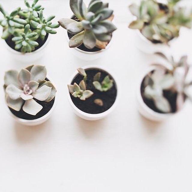 EMAIL TIPS // treat your subject line like the movie trailer - give a preview so they know what to expect. |📷: @pinterest