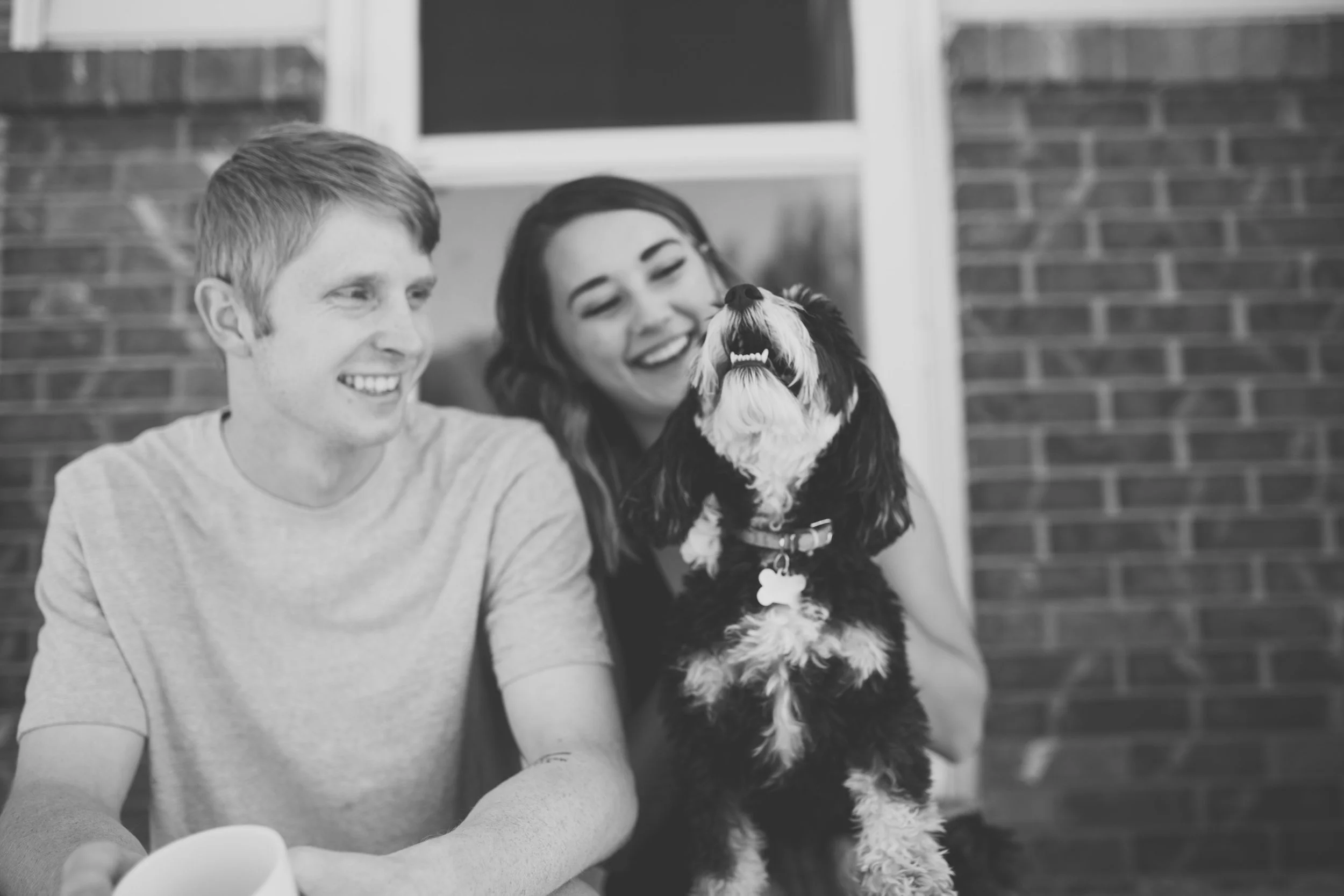 We haven't made another addition to our family - but we sure do love these little fur babies. 