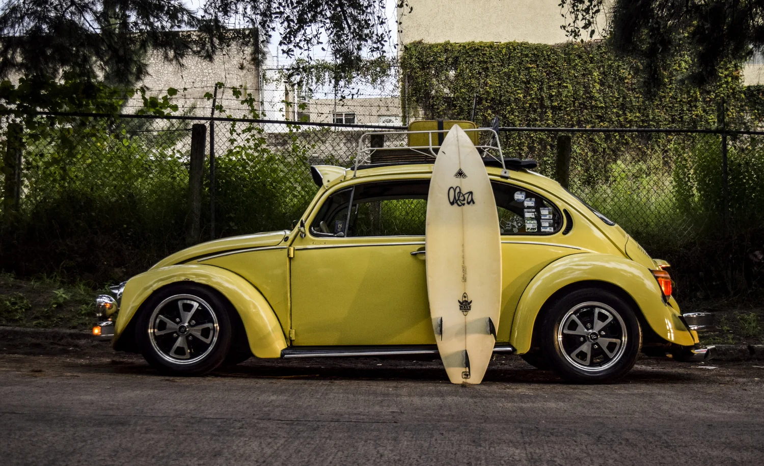 Twin — Fins Unlimited