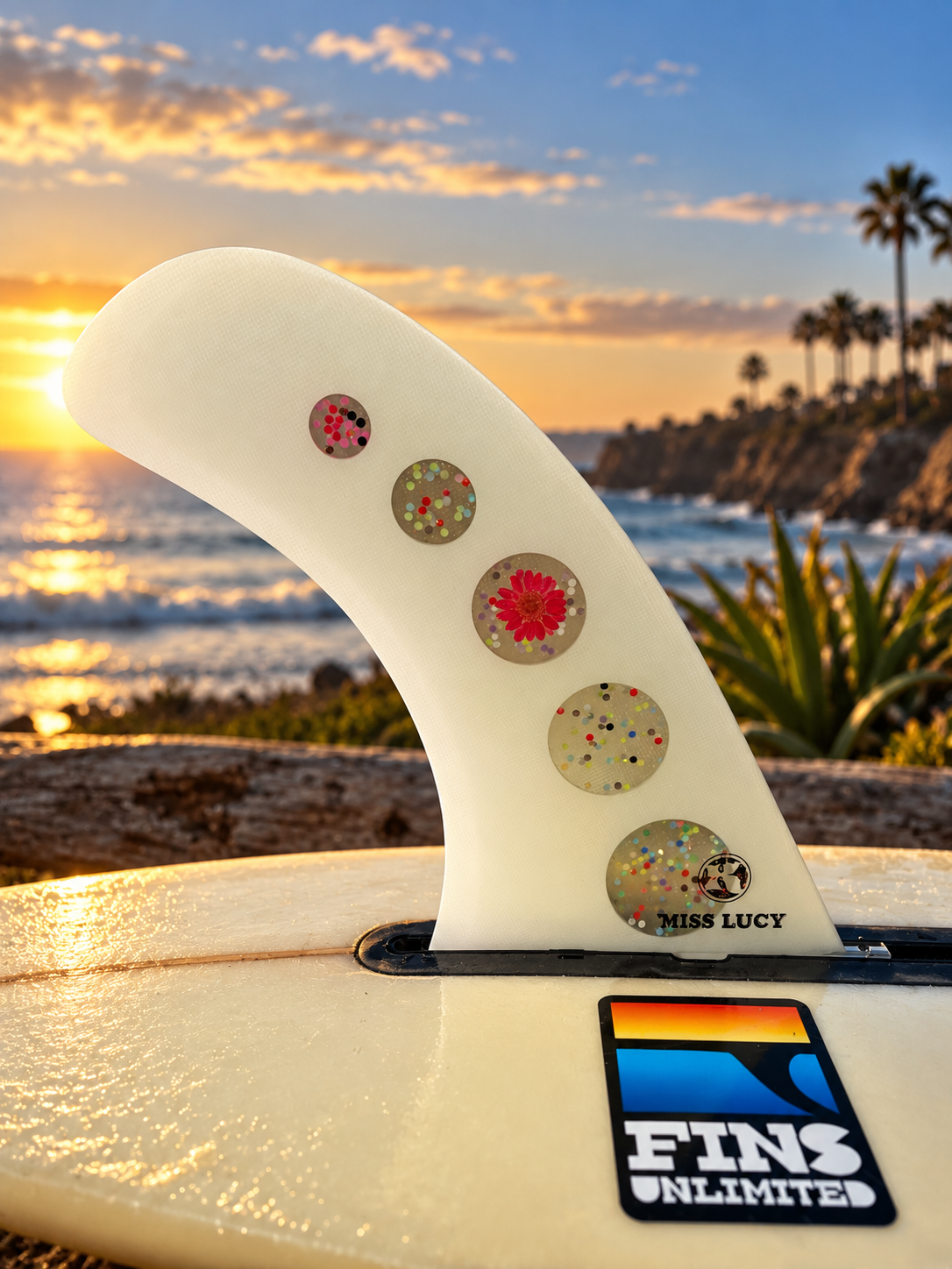 Glittered Fin at Golden Hour.png