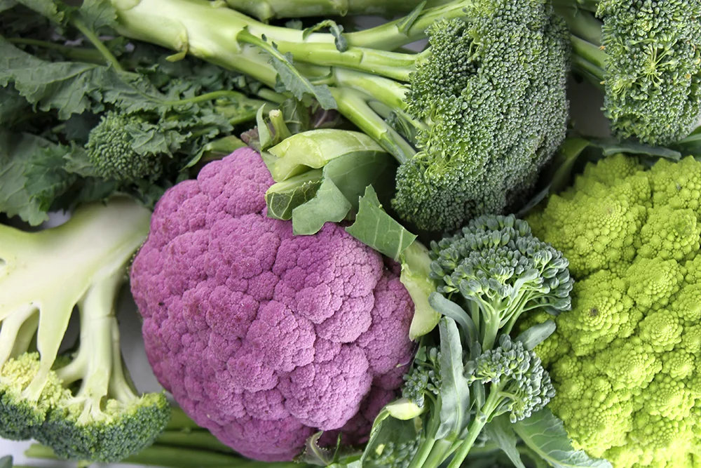 Broccoli