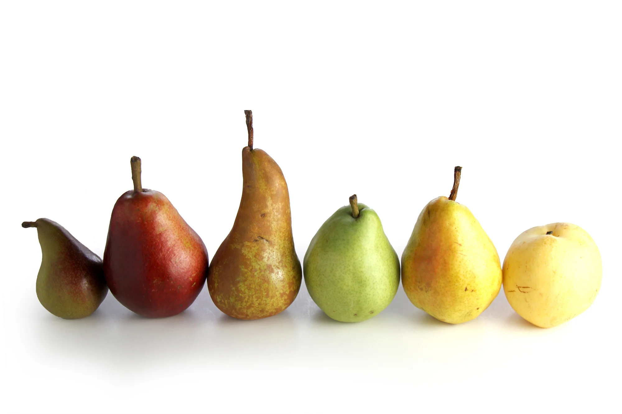 Pears