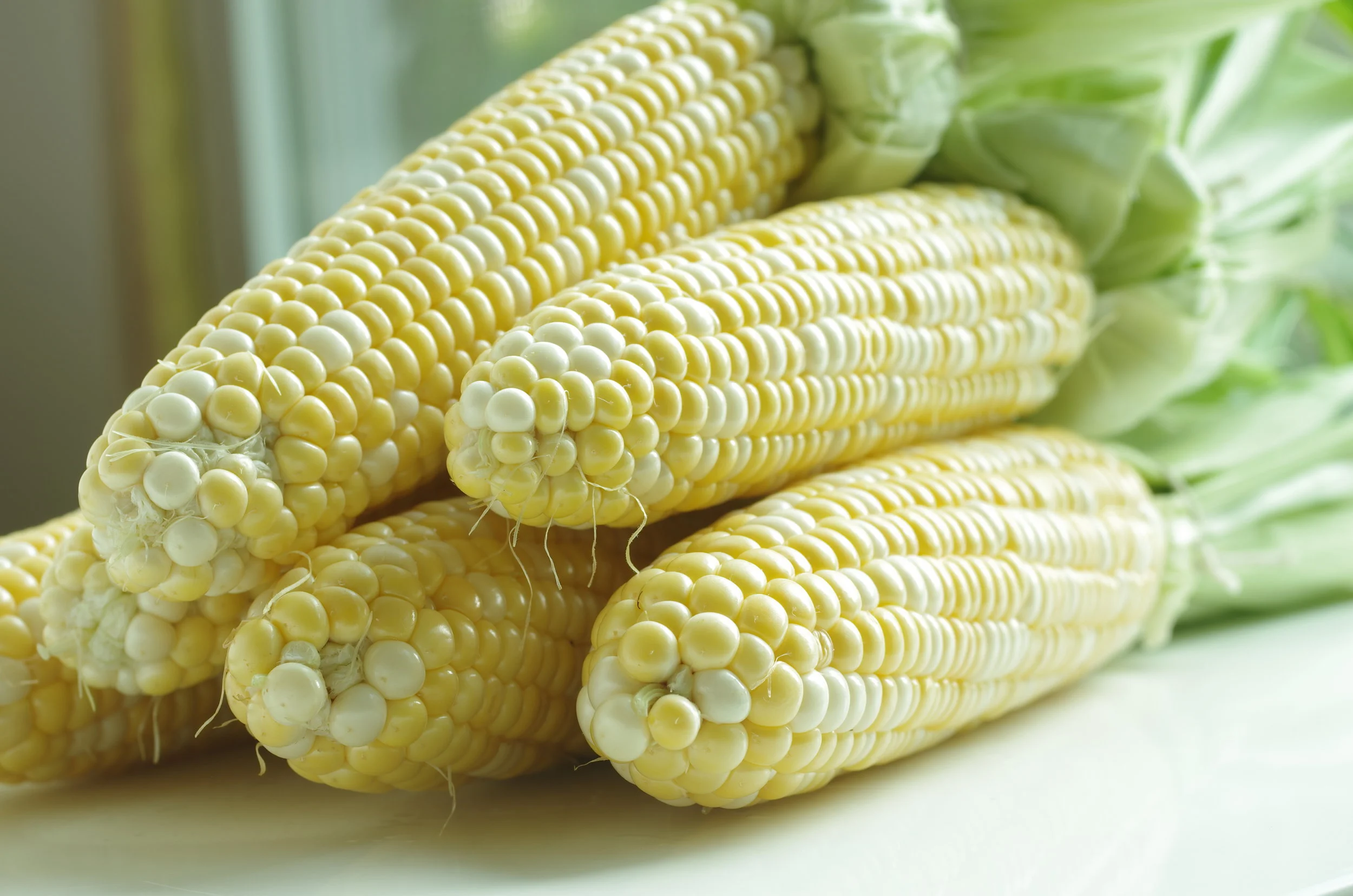 Corn