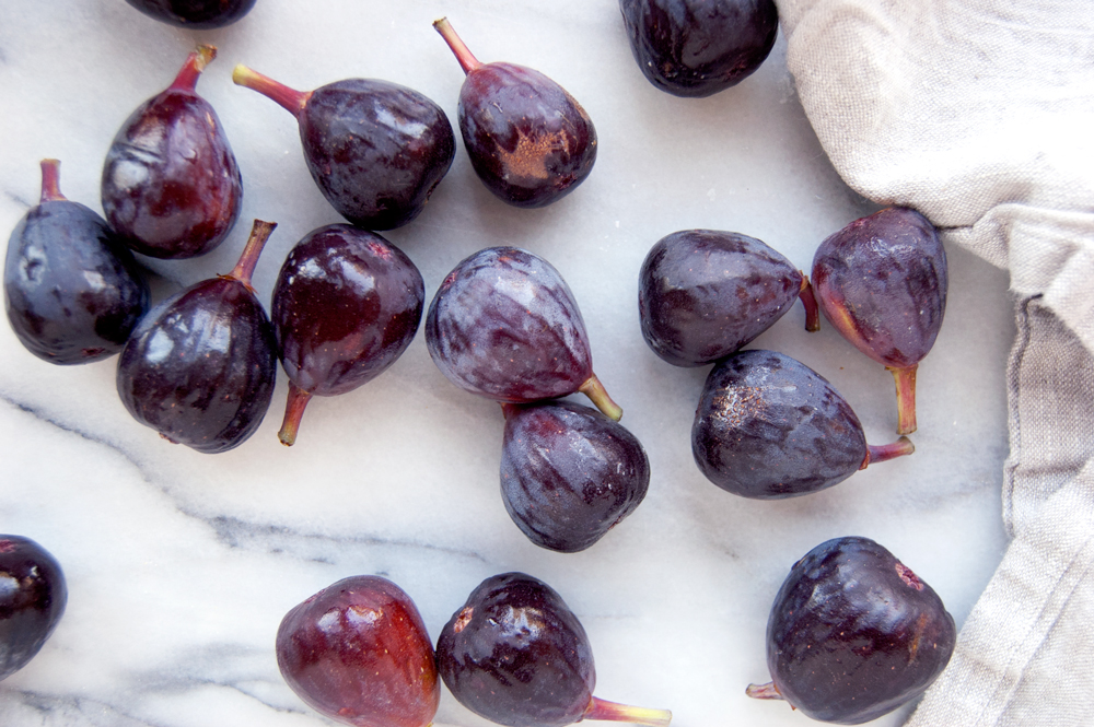figs_2.jpg