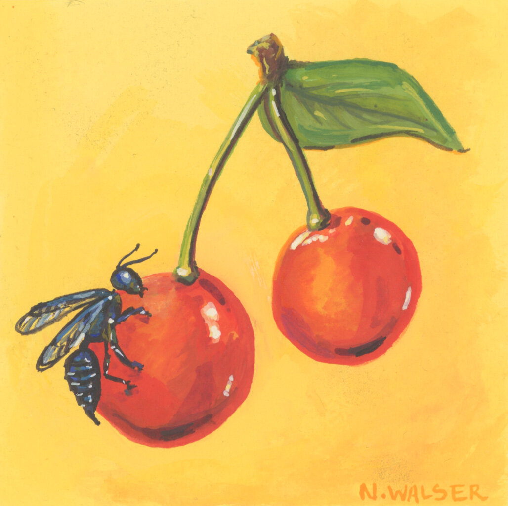 WaspCherries.jpg