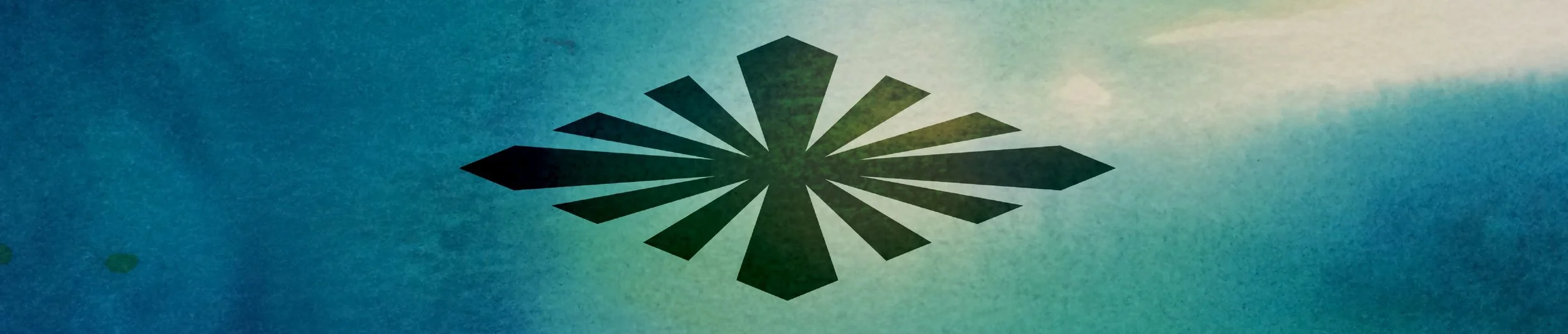 Shaman Michelle Hawk Portland Oregon.jpg