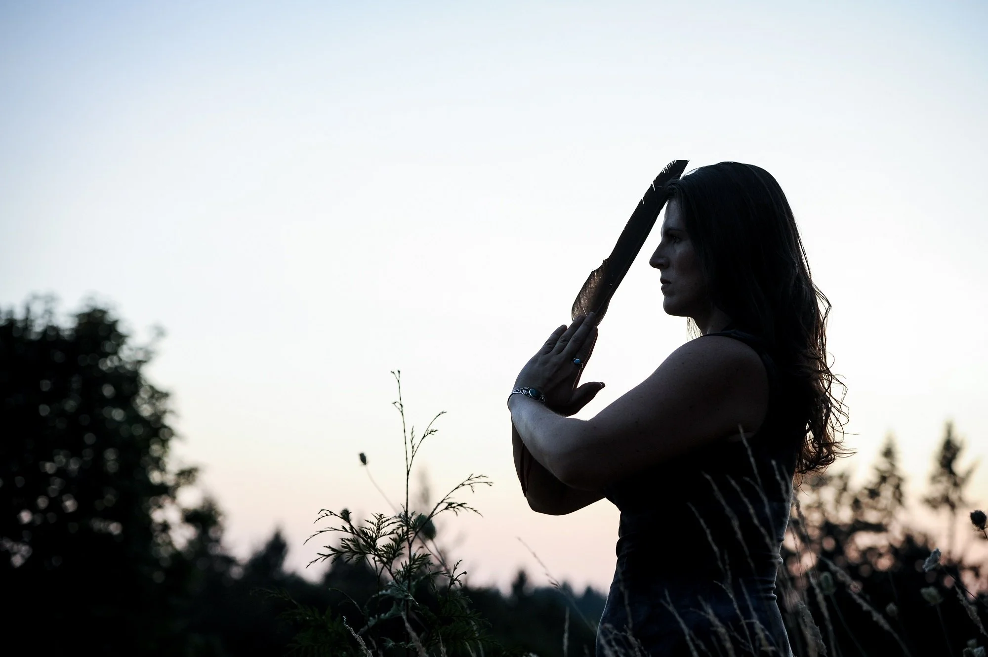 Shamanic Healing Blog Portland Oregon Michelle Hawk.jpg