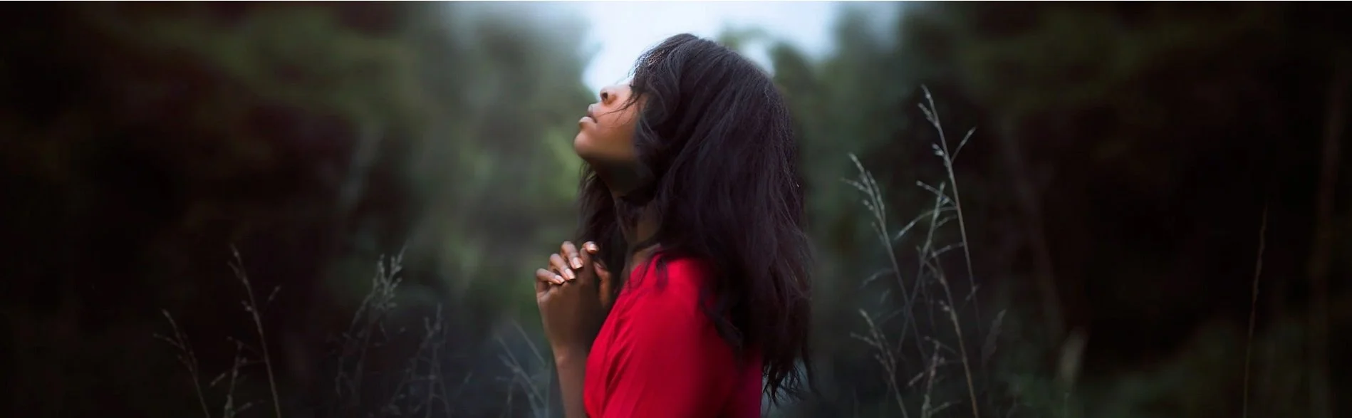 Learn Foundations of Shamanism Shamanic Training Online.jpg