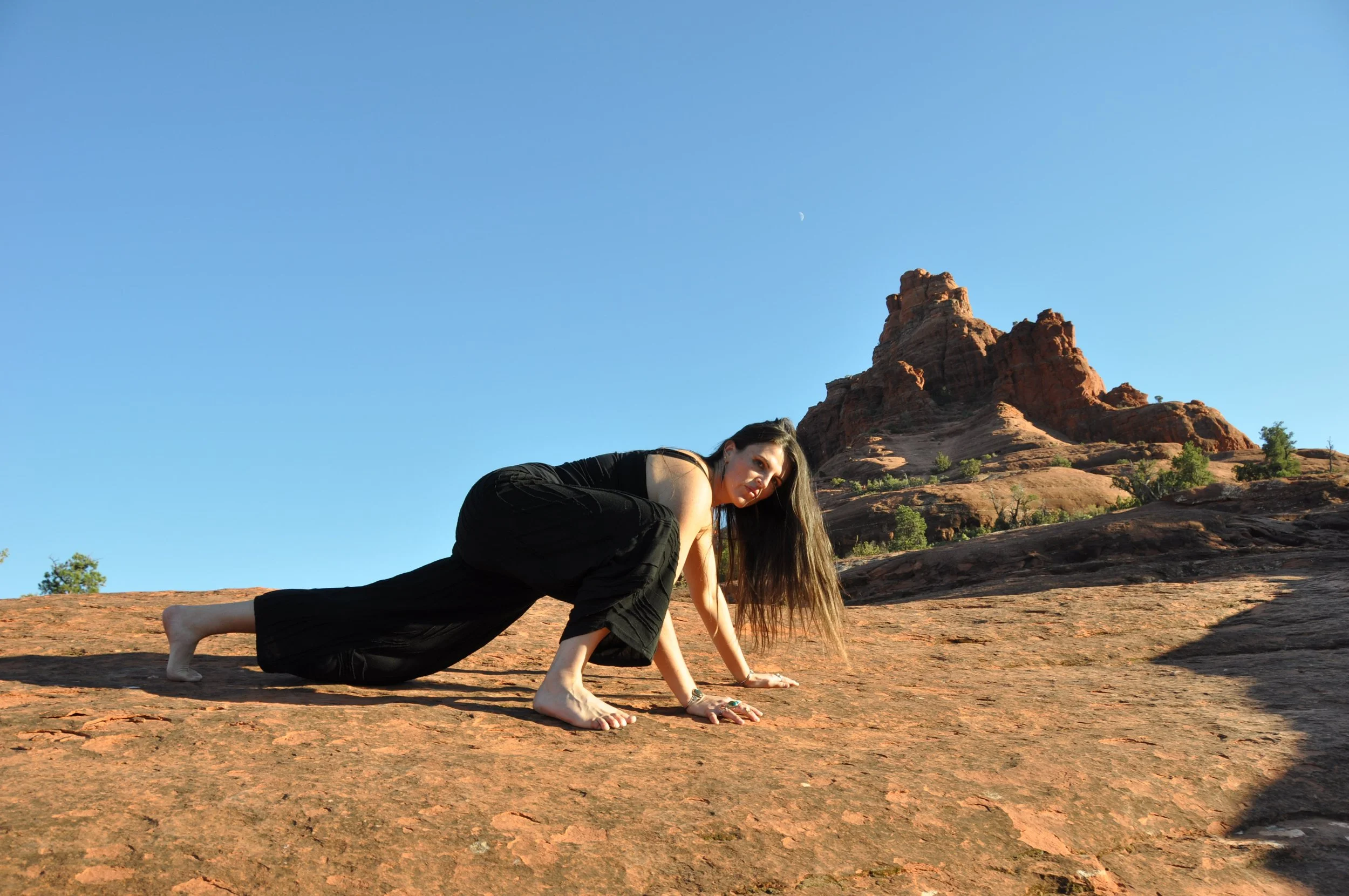 Foundations of Shamanism Course Michelle Hawk.JPG