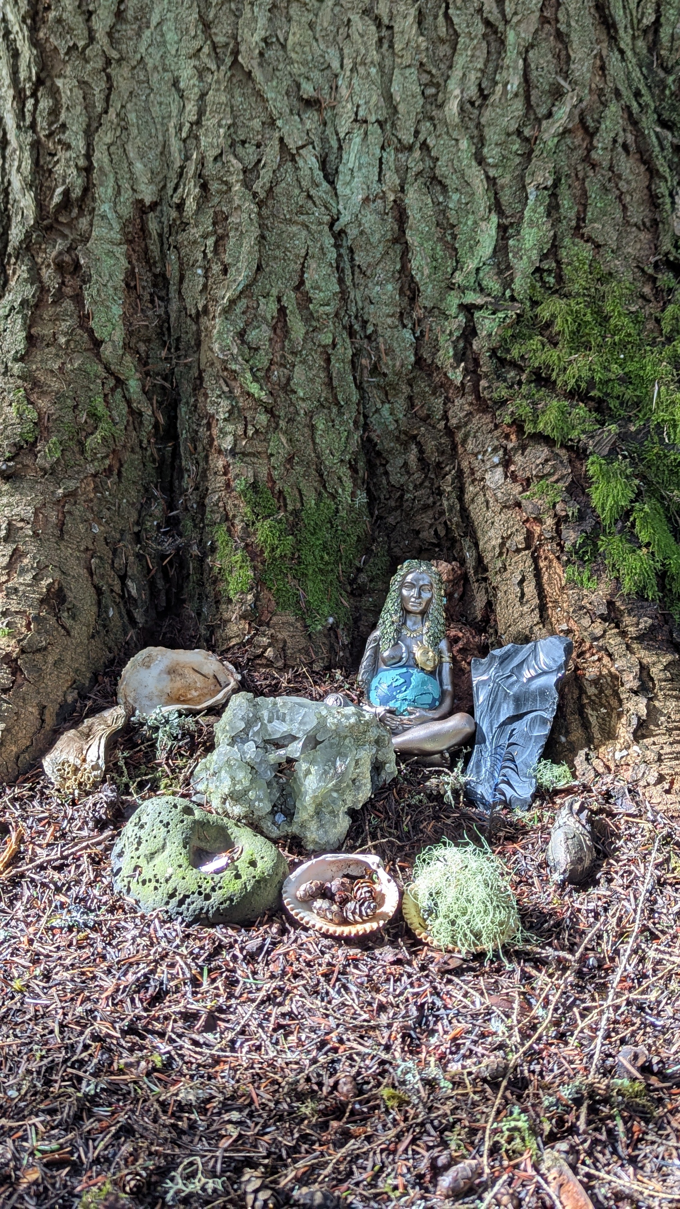 Land and Nature Spirits in Shamanism Michelle Hawk