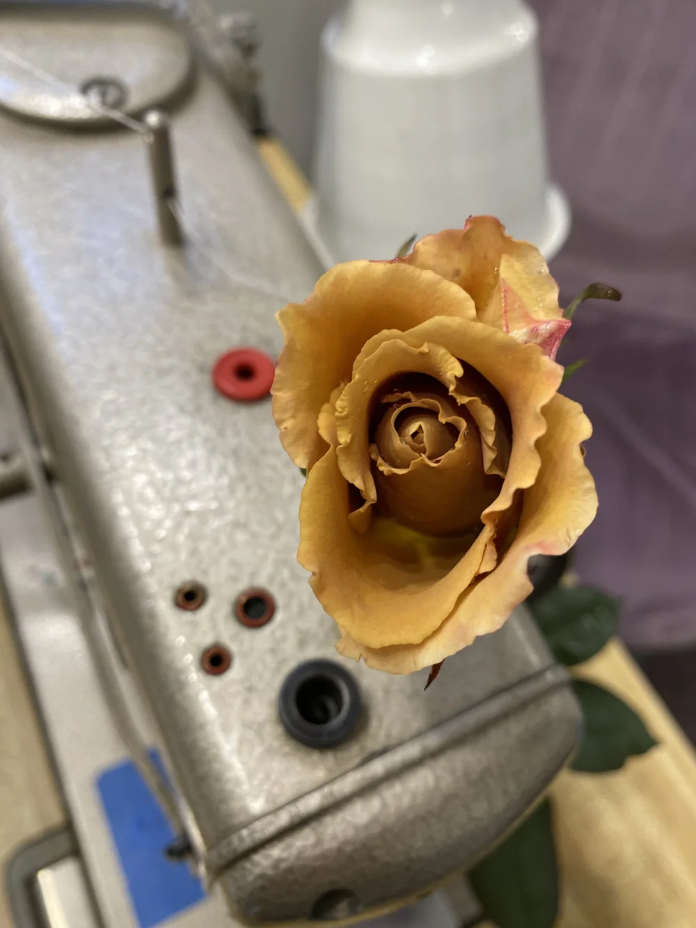Sewing machine with a rose