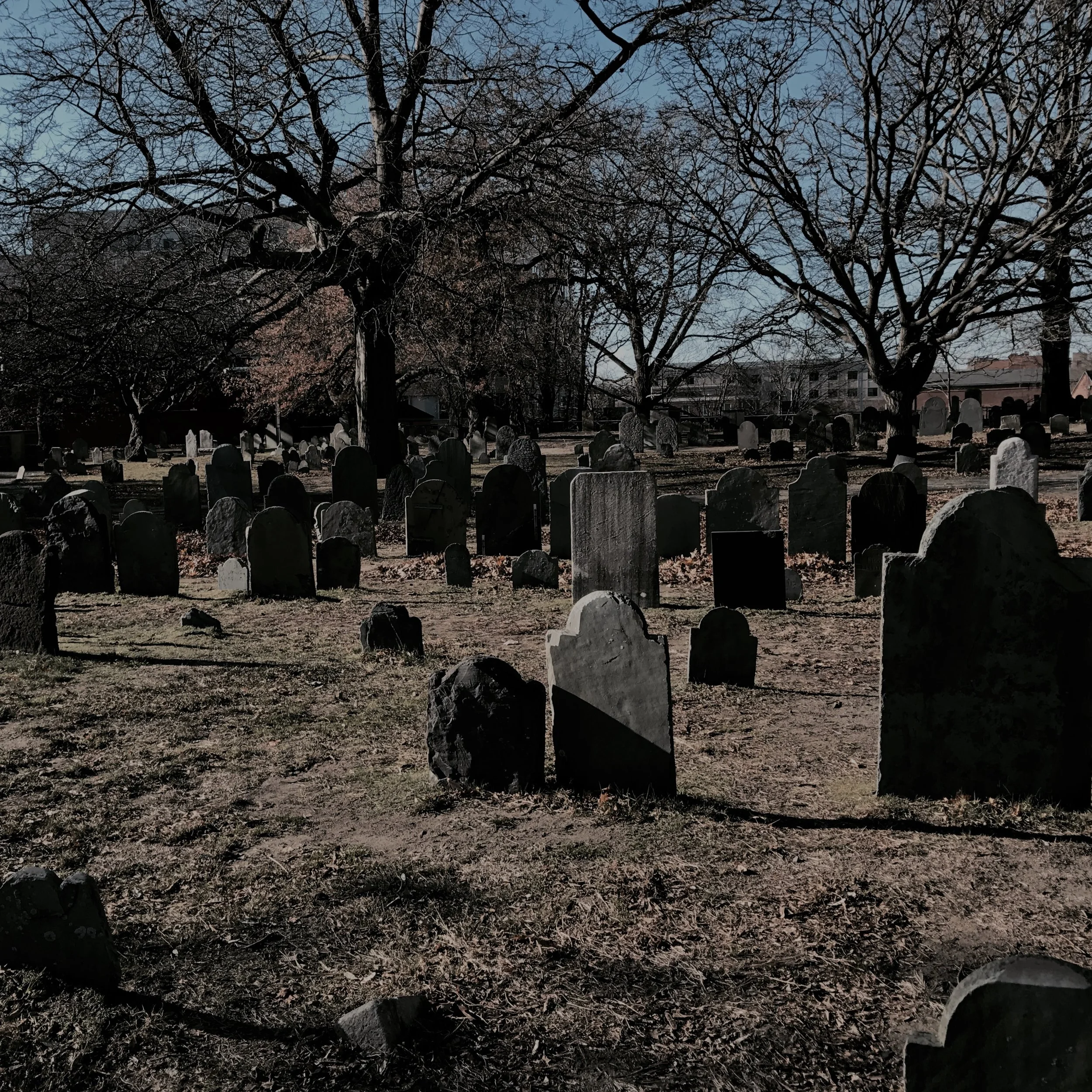 Killing the "Self" to Live: Apocalypse Now