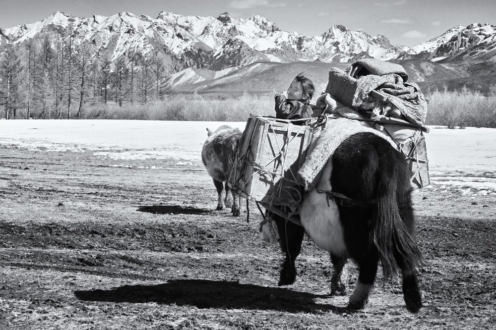 Khasar_S_Migration_VIII_Huvsgul_Mongolia_Spring_2014+2.jpg