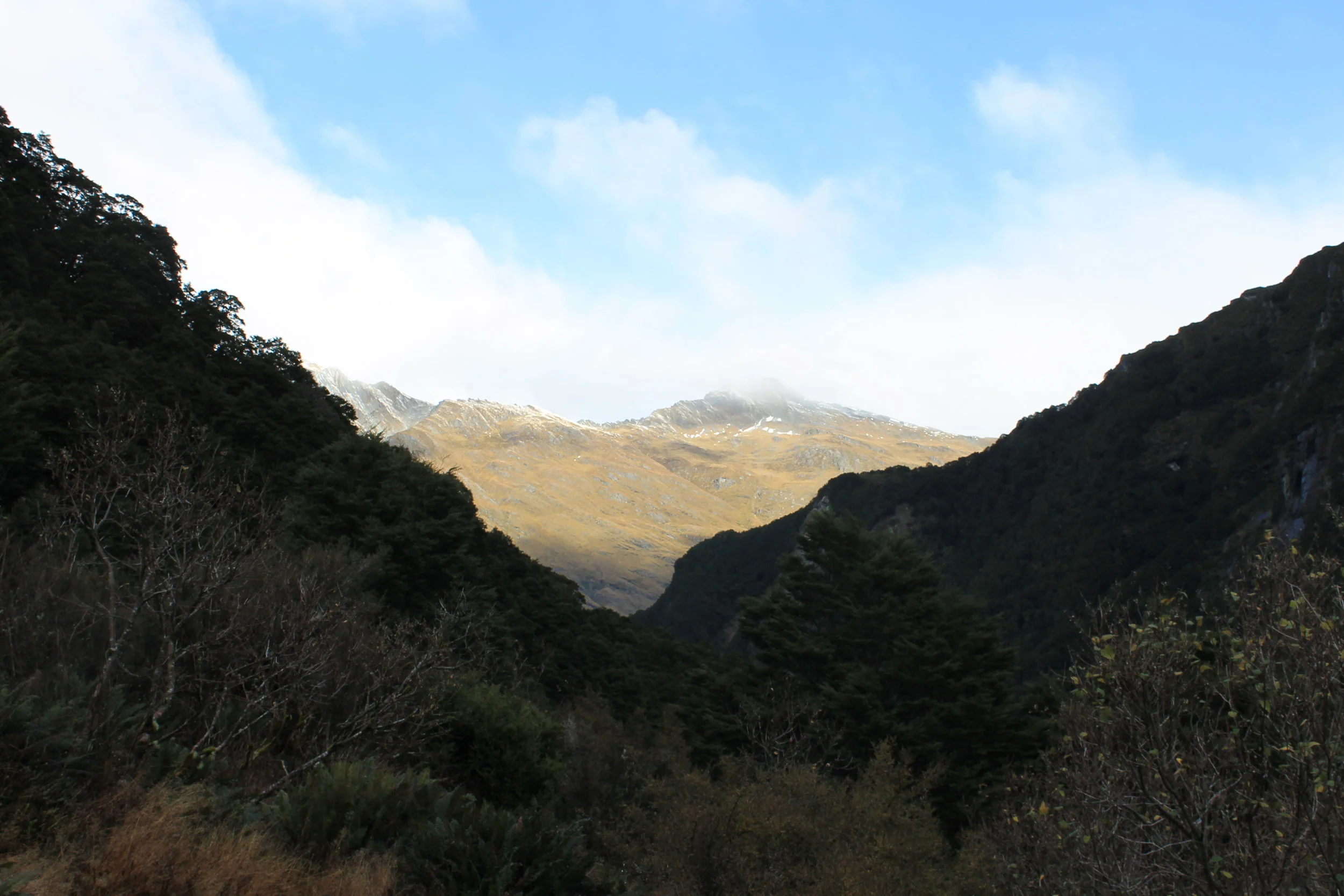 IMG_5735.JPG