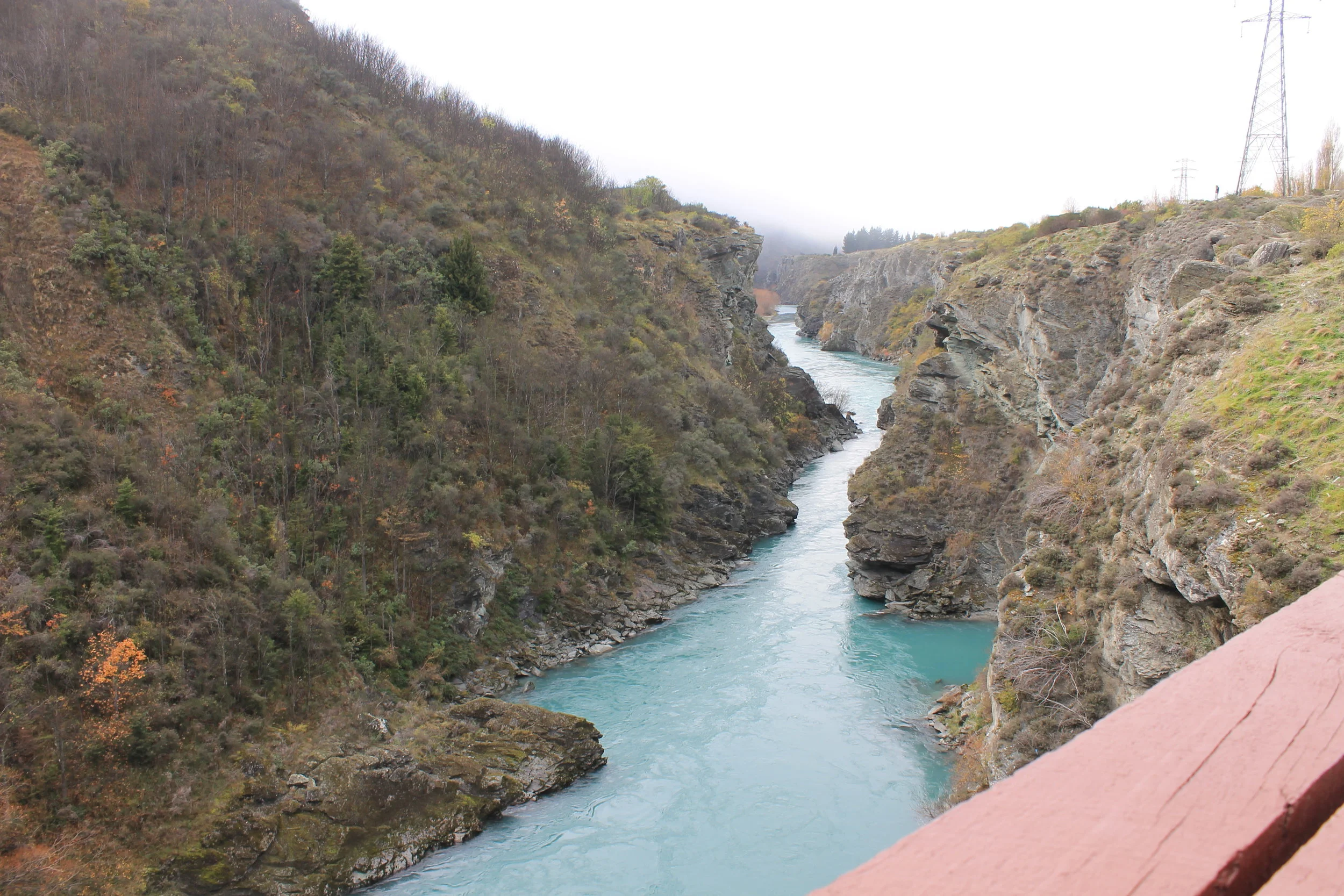 IMG_5608.JPG