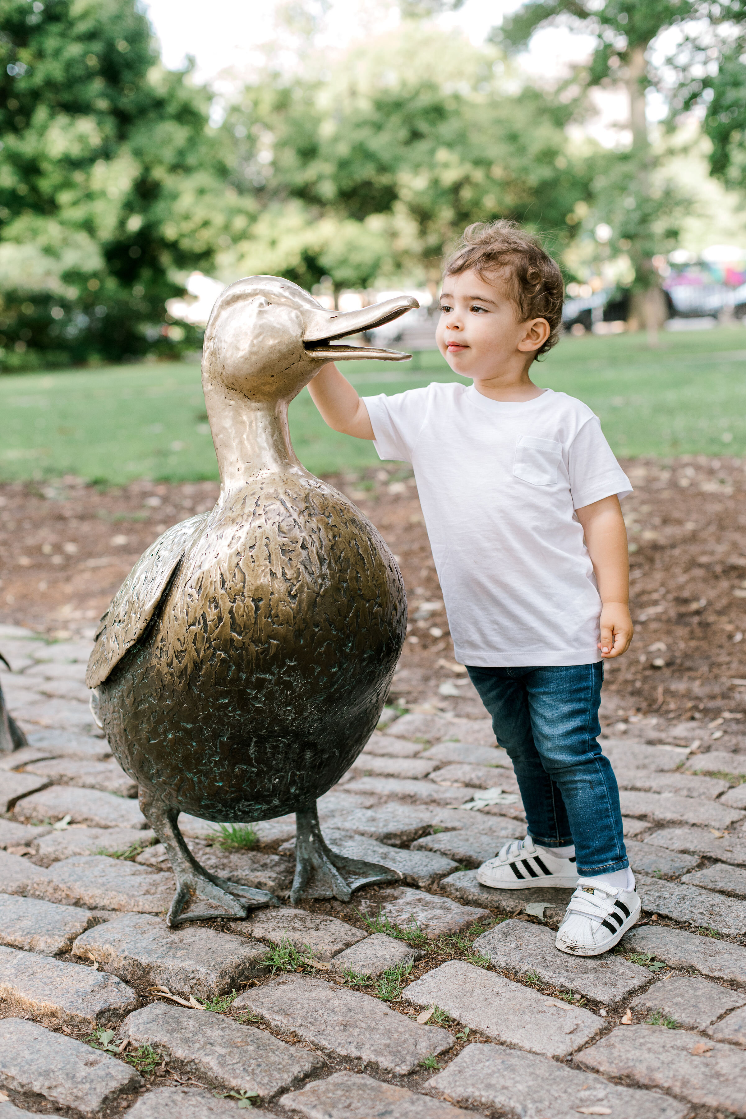 boston_public_garden_summer_family_photos_erica_pezente_photographer(69).jpg