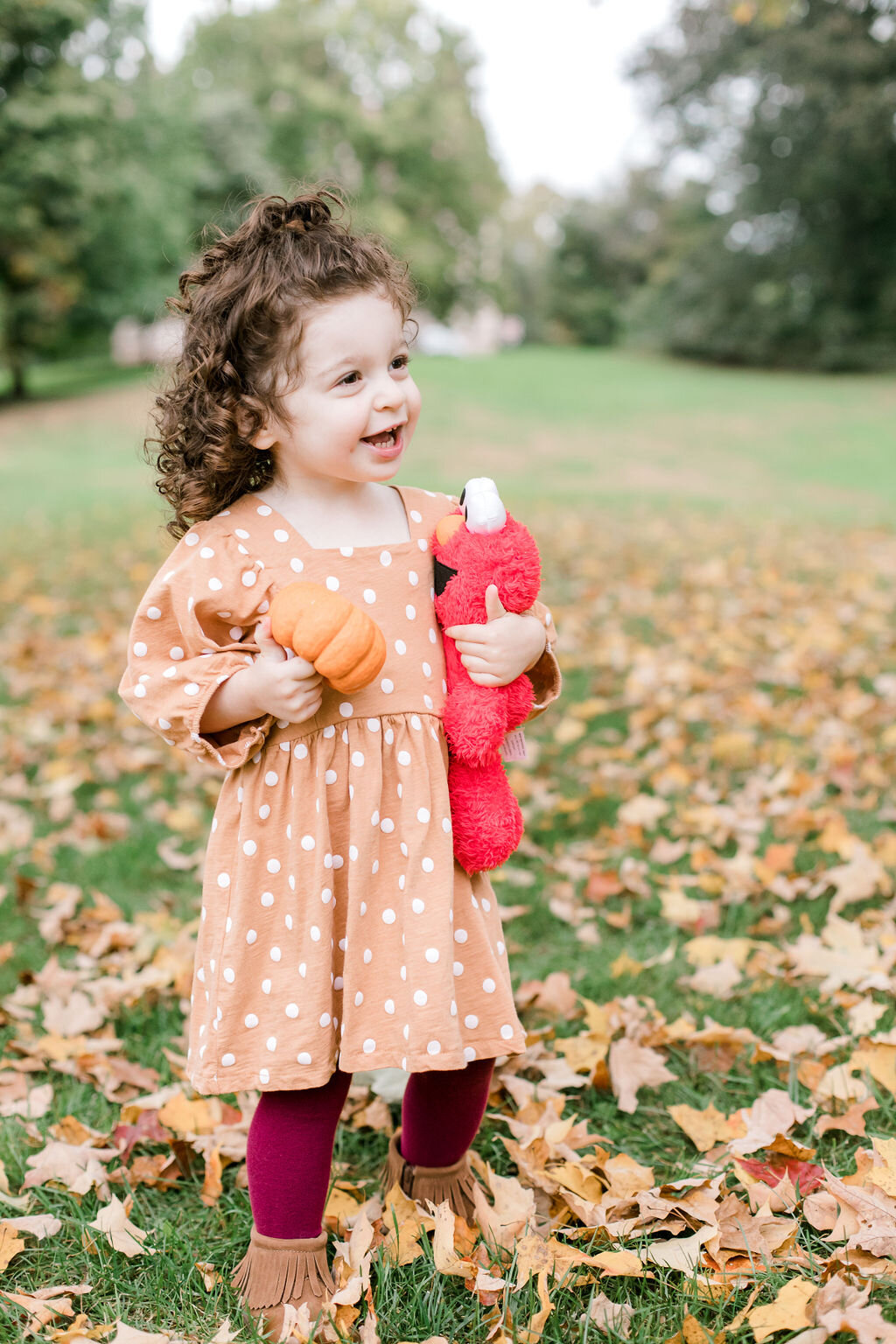 morton_park_wellesley_fall_family_photo_session_erica_pezente_photographer(103).jpg