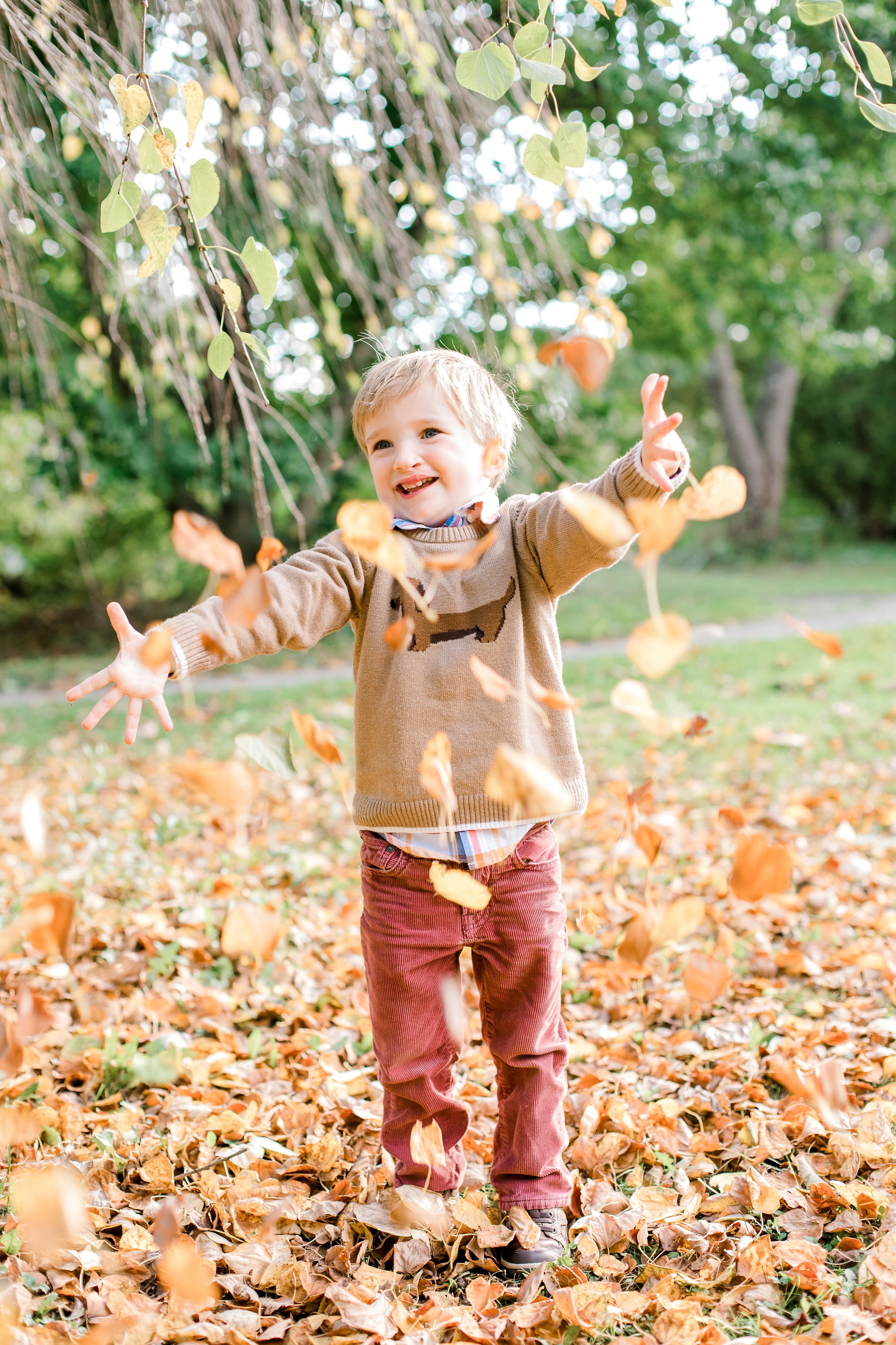 acton_arboretum_fall_family_photos_erica_pezente_photography(54).jpg