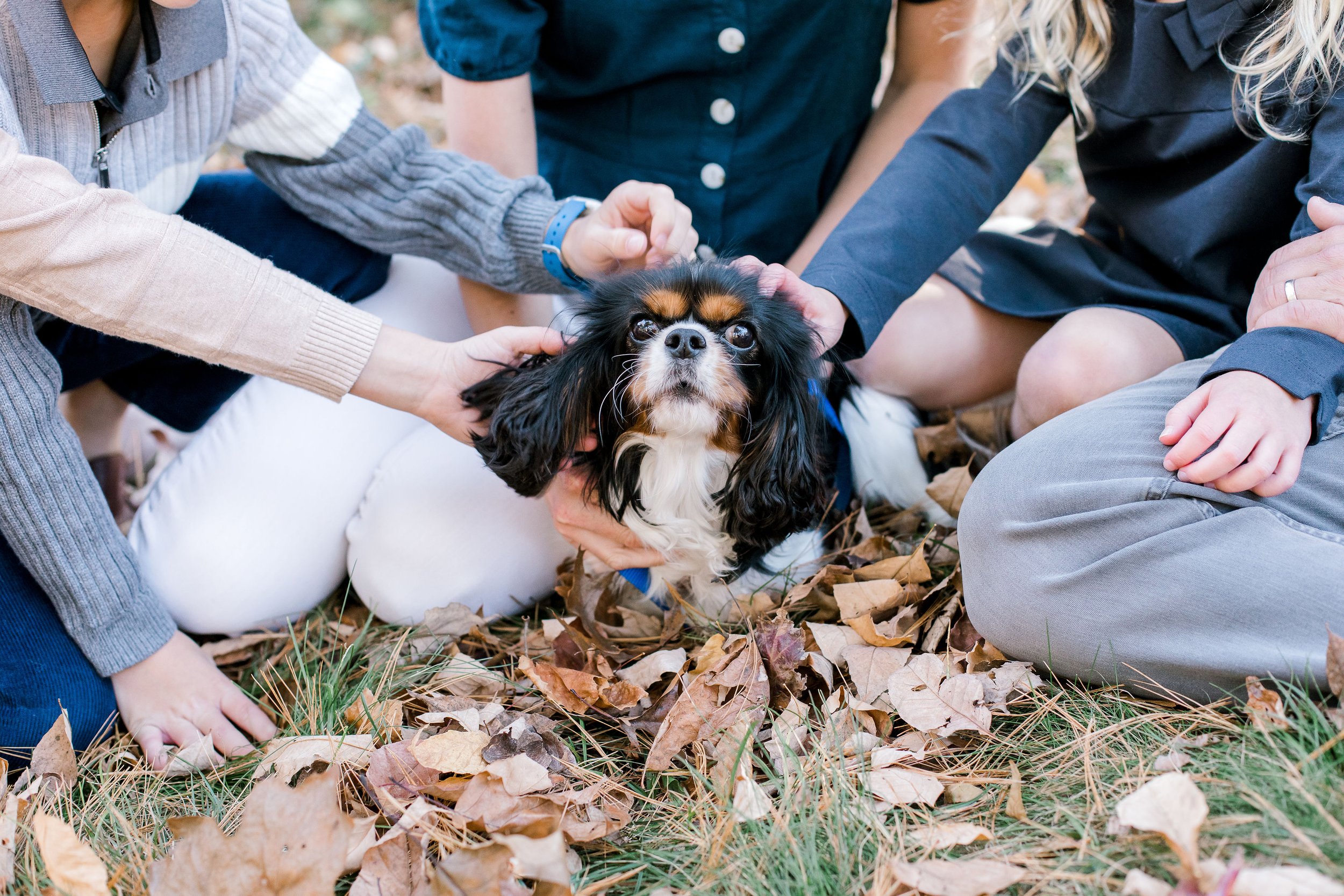 wayside_inn_grist_mill_sudbury_fall_family_photos_erica_pezente_photography(35).jpg