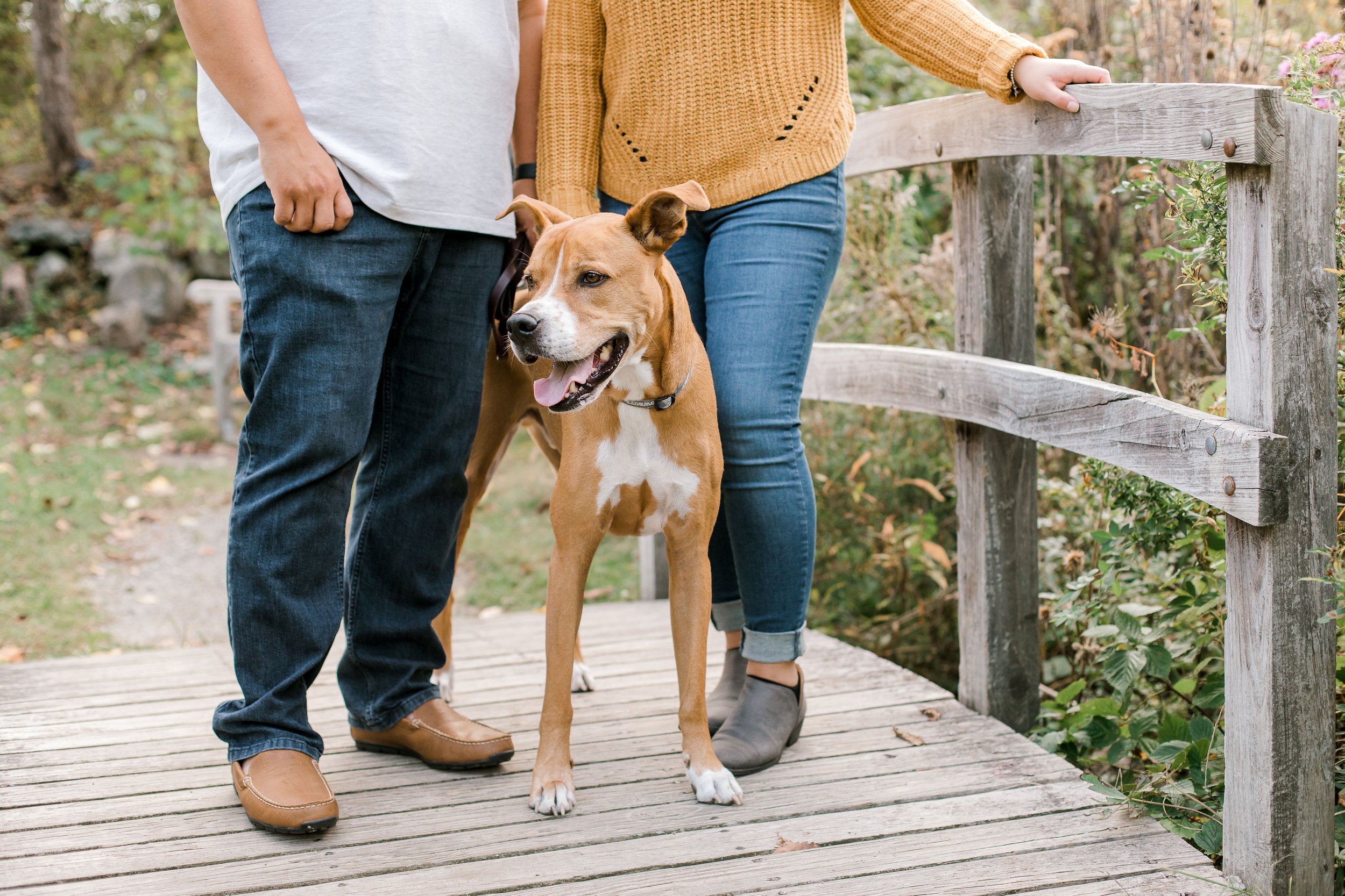 acton_arboretum_fall_family_photos_erica_pezente_photography(25).jpg