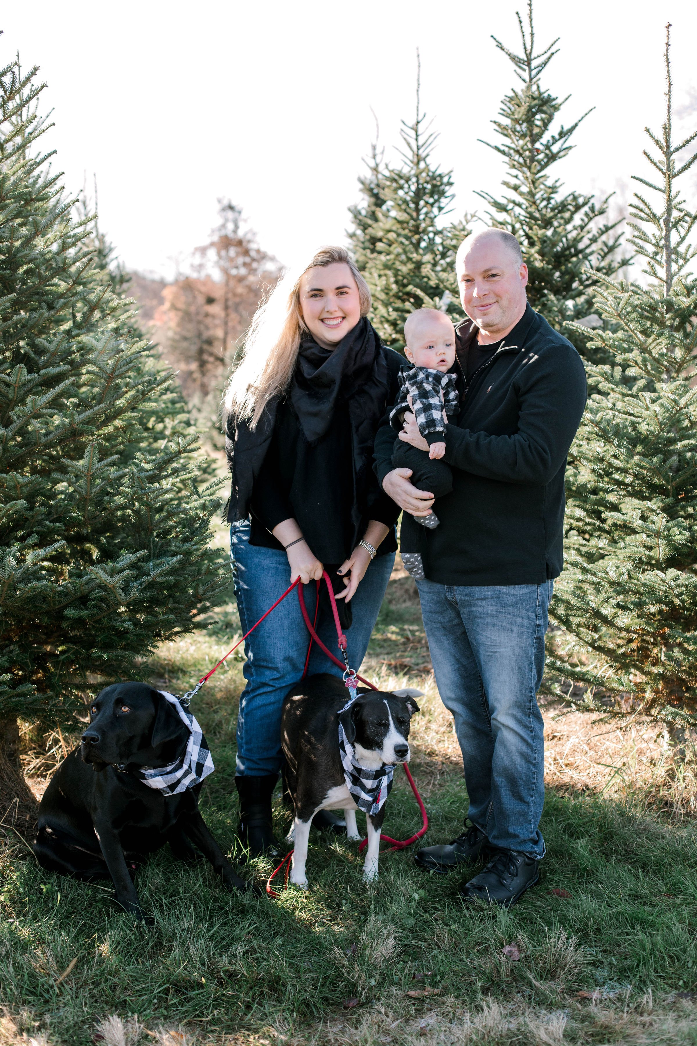 christmas_tree_mini_session_highfields_tree_farm_grafton_massachusetts_erica_pezente_photography(1) (3).jpg