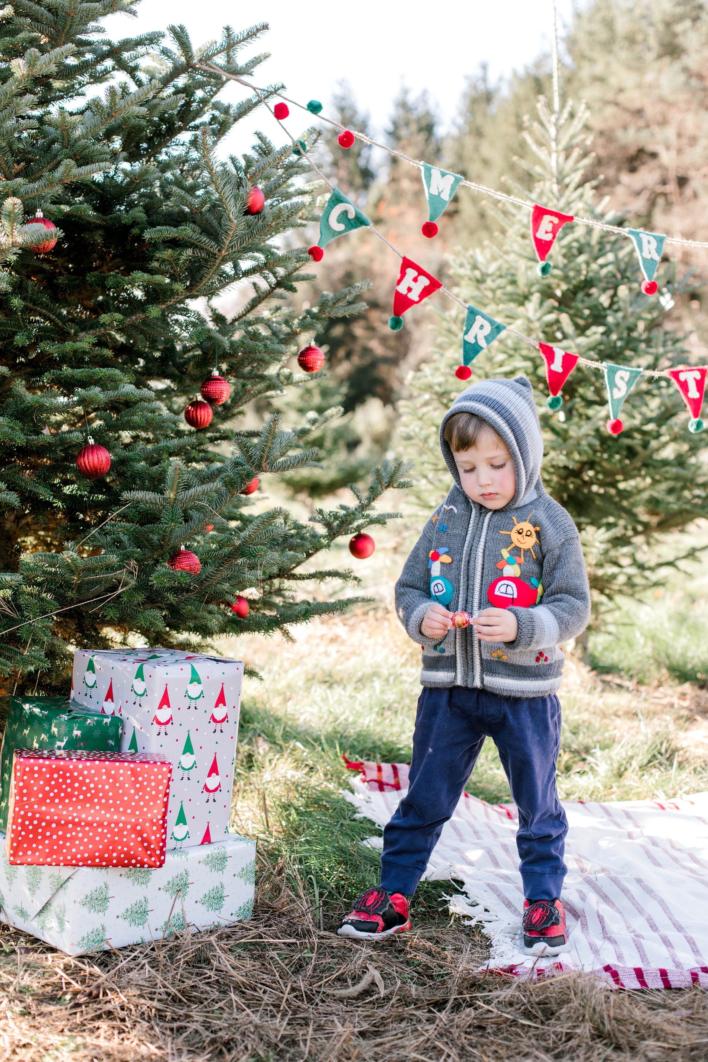 christmas_tree_mini_session_highfields_tree_farm_grafton_massachusetts_erica_pezente_photography(15) (1).jpg