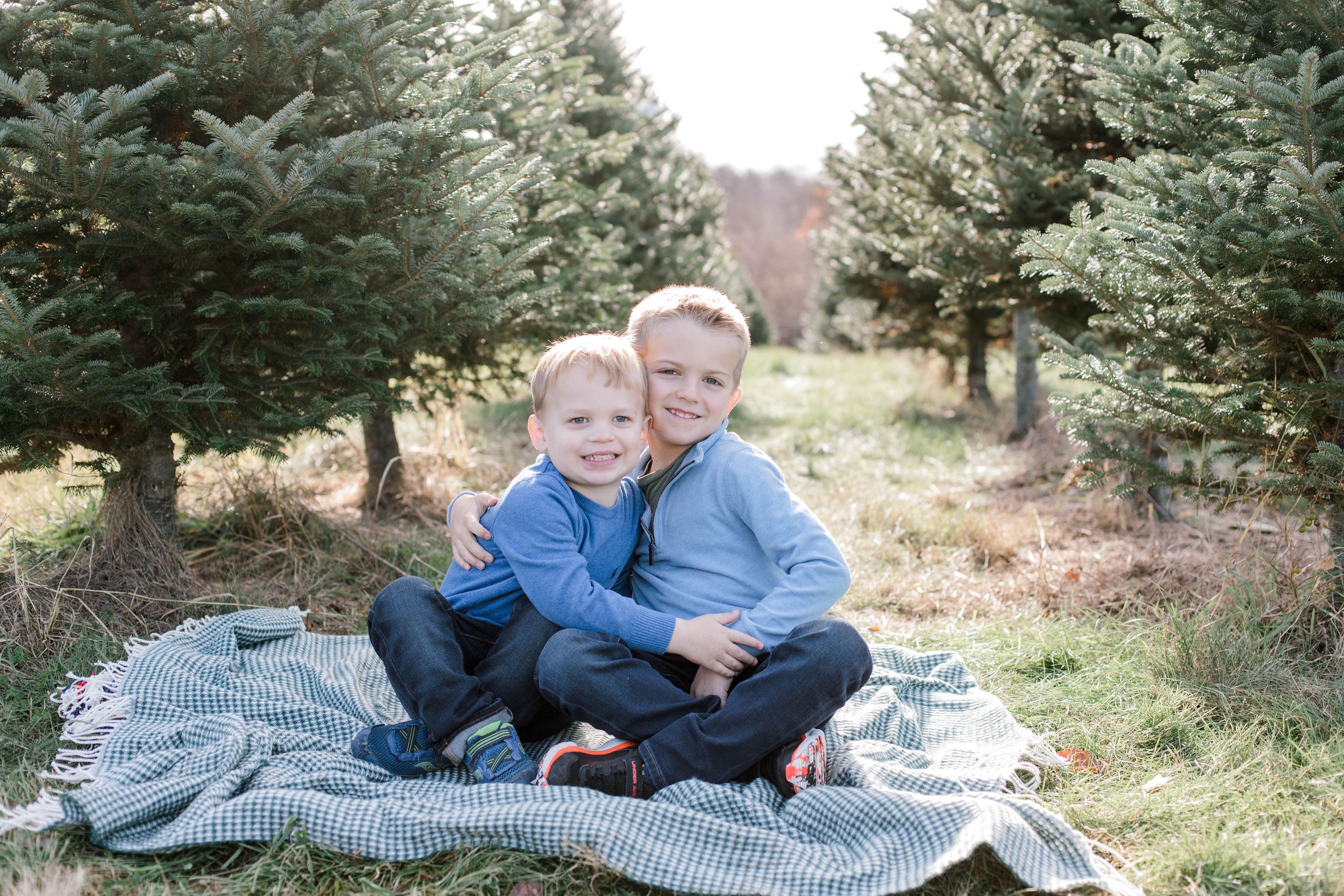 christmas_tree_mini_session_highfields_tree_farm_grafton_massachusetts_erica_pezente_photography(5) (2).jpg