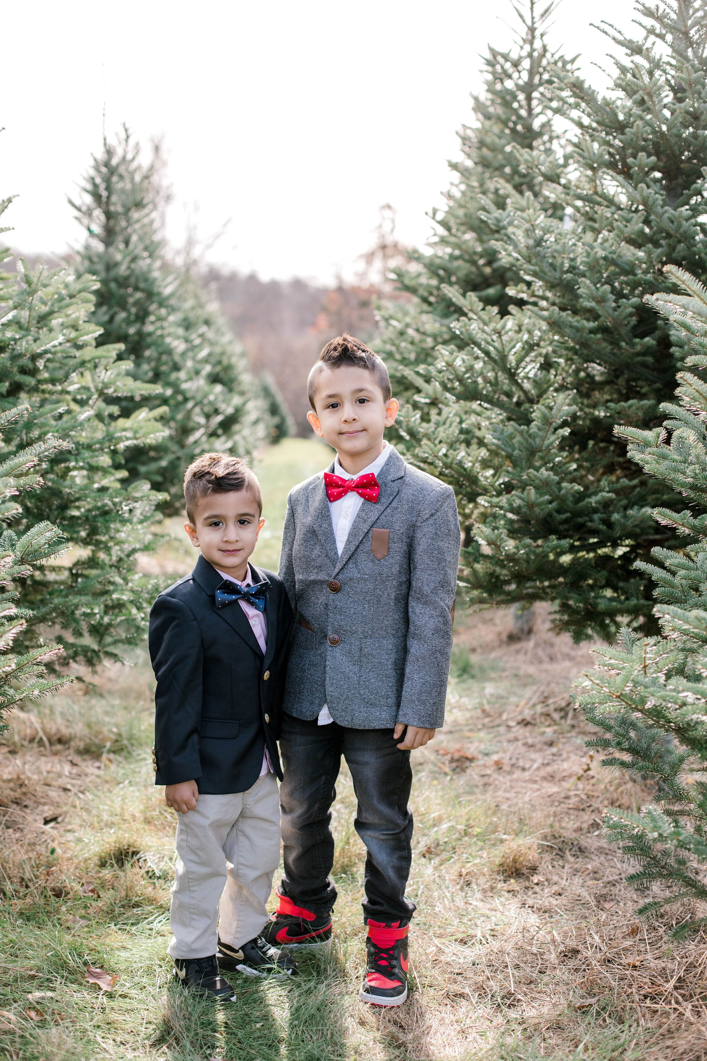 christmas_tree_mini_session_highfields_tree_farm_grafton_massachusetts_erica_pezente_photography(3).jpg