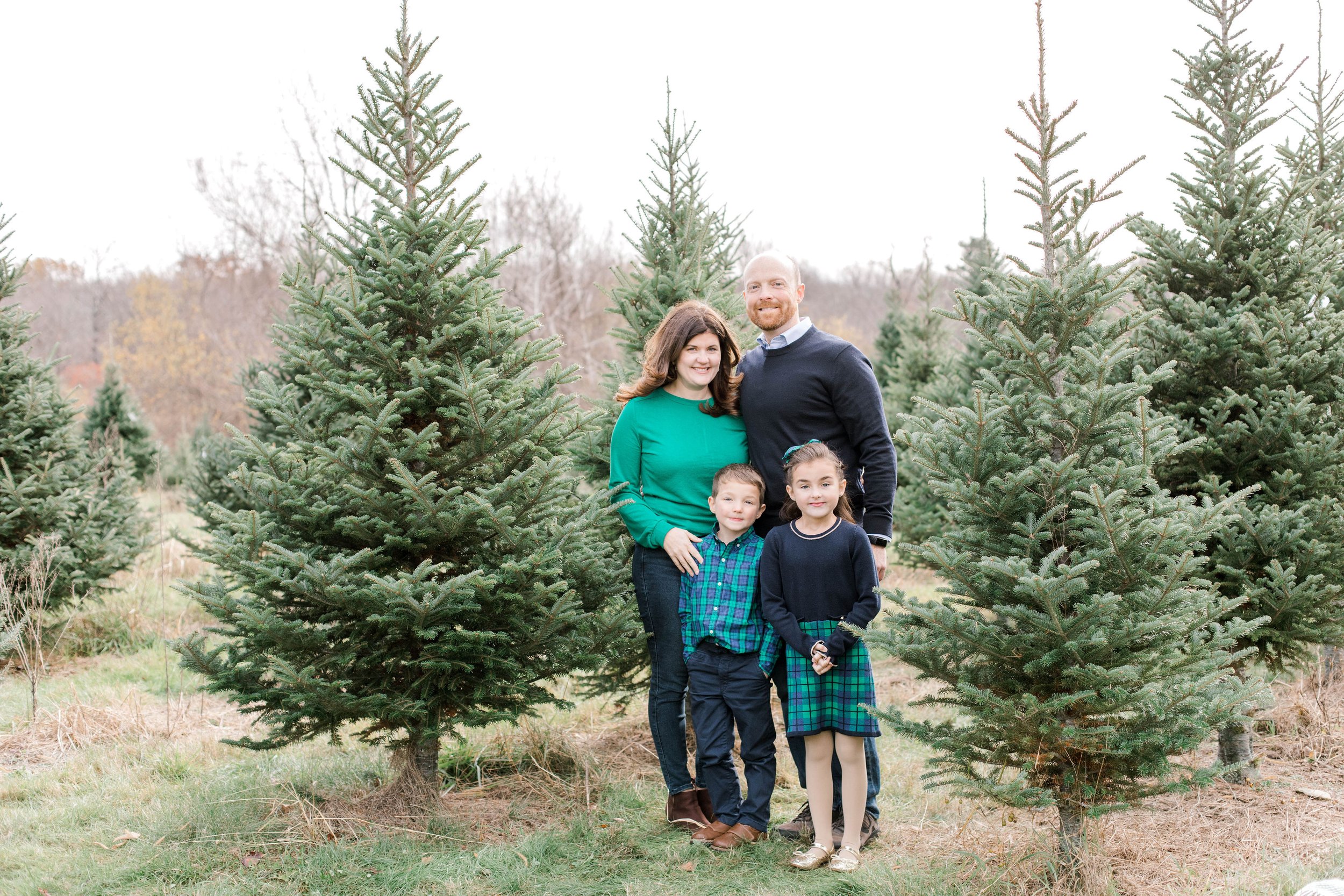 christmas_tree_mini_session_highfields_tree_farm_grafton_massachusetts_erica_pezente_photography(17).jpg