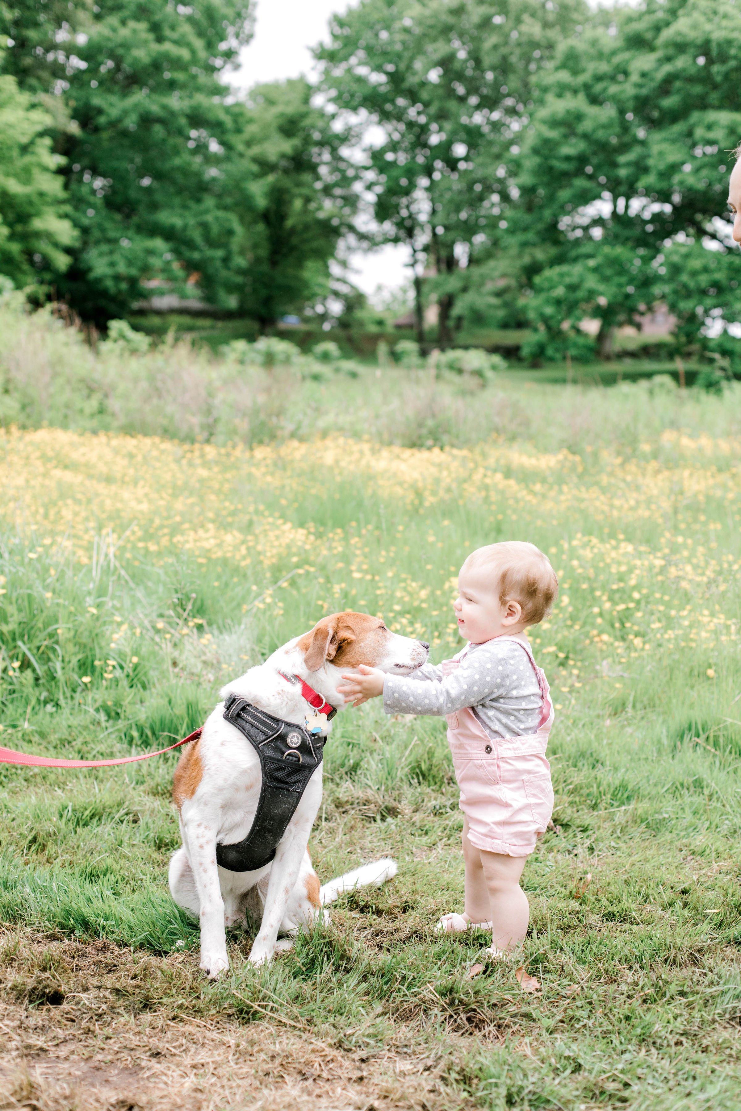 larz_anderson_park_brookline_spring_family_photos_erica_pezente_photography(67).jpg