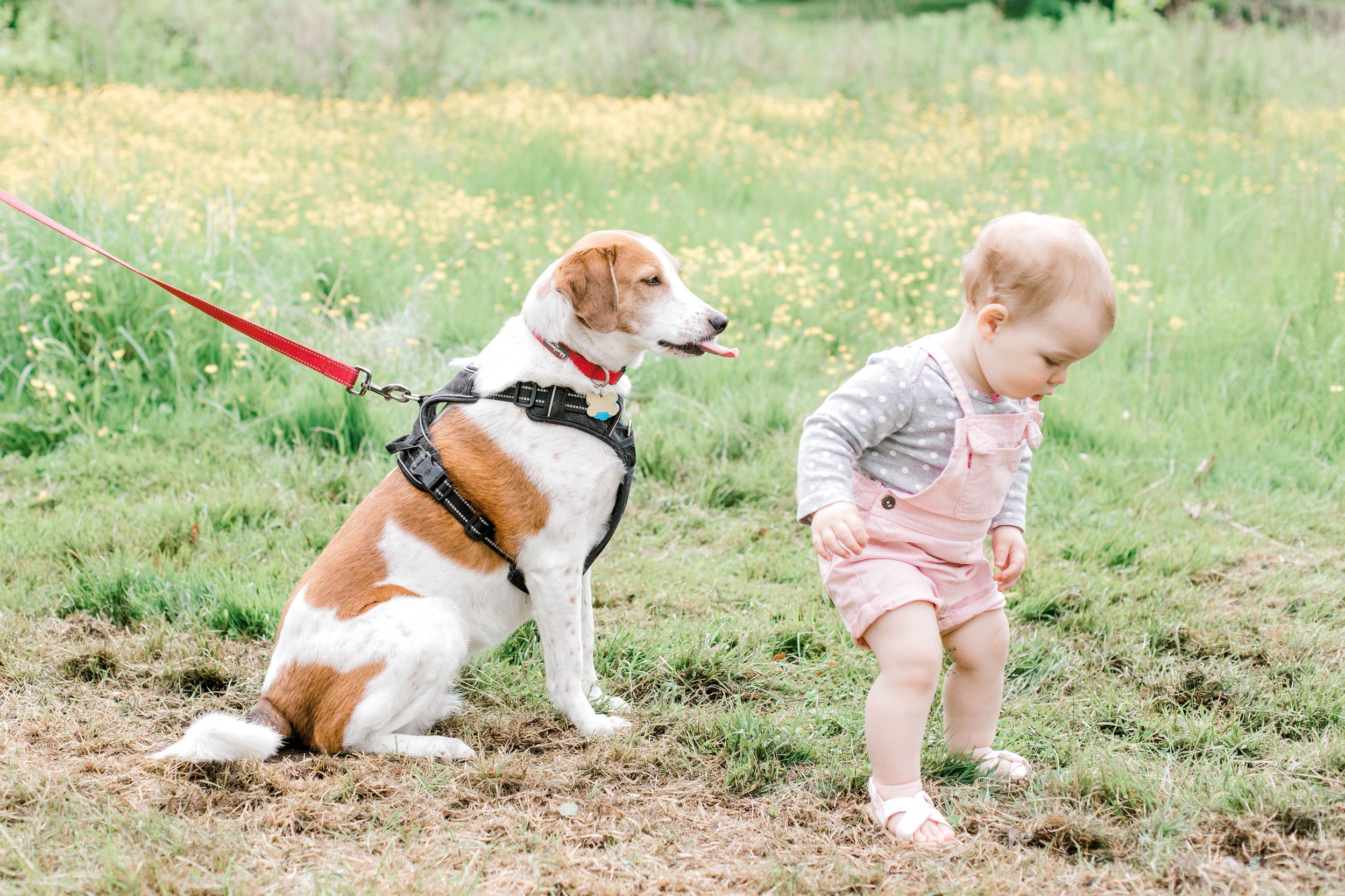 larz_anderson_park_brookline_spring_family_photos_erica_pezente_photography(70).jpg